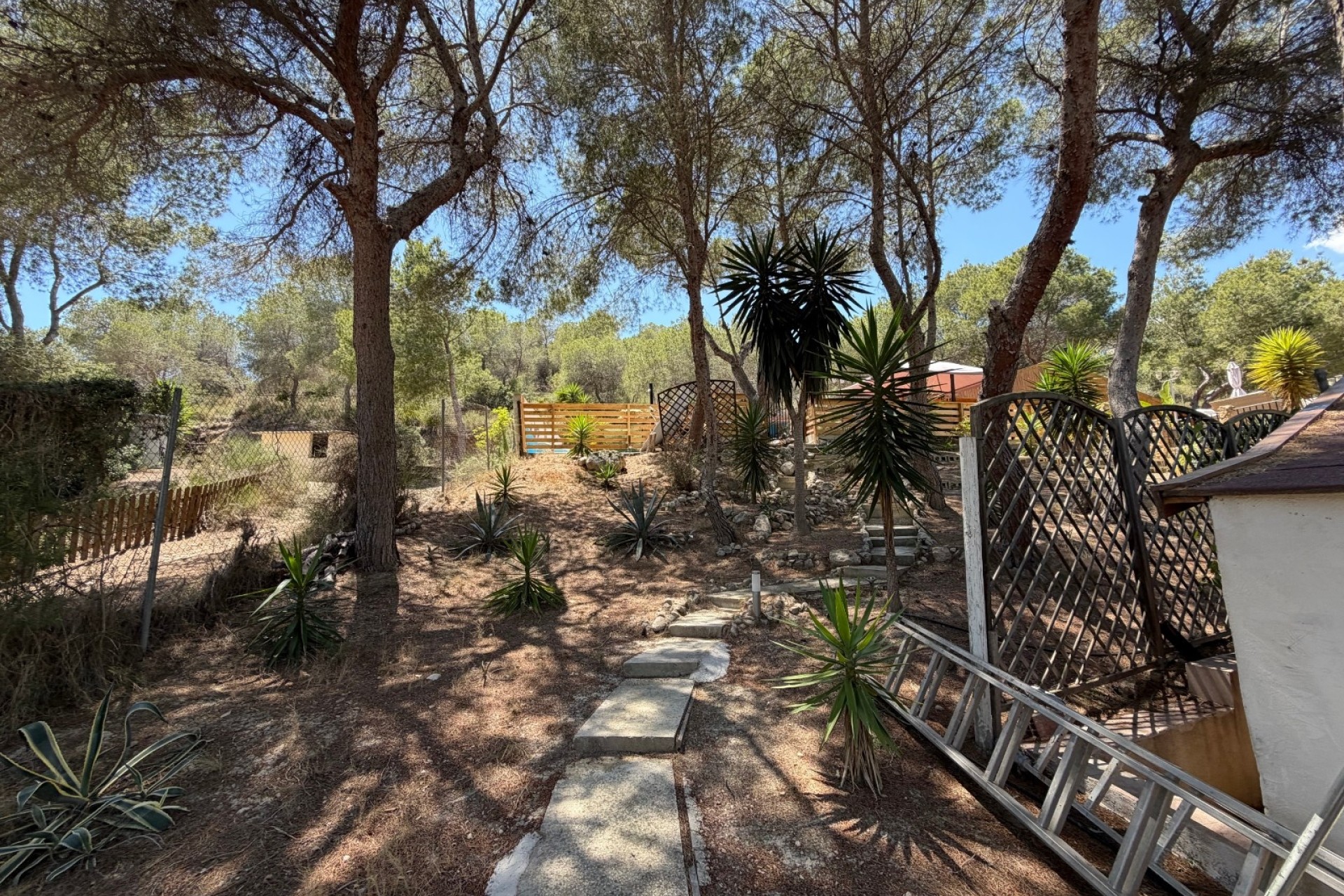 Sprzedaż - Finca nieruchomość wiejska -
Orihuela - Torremendo