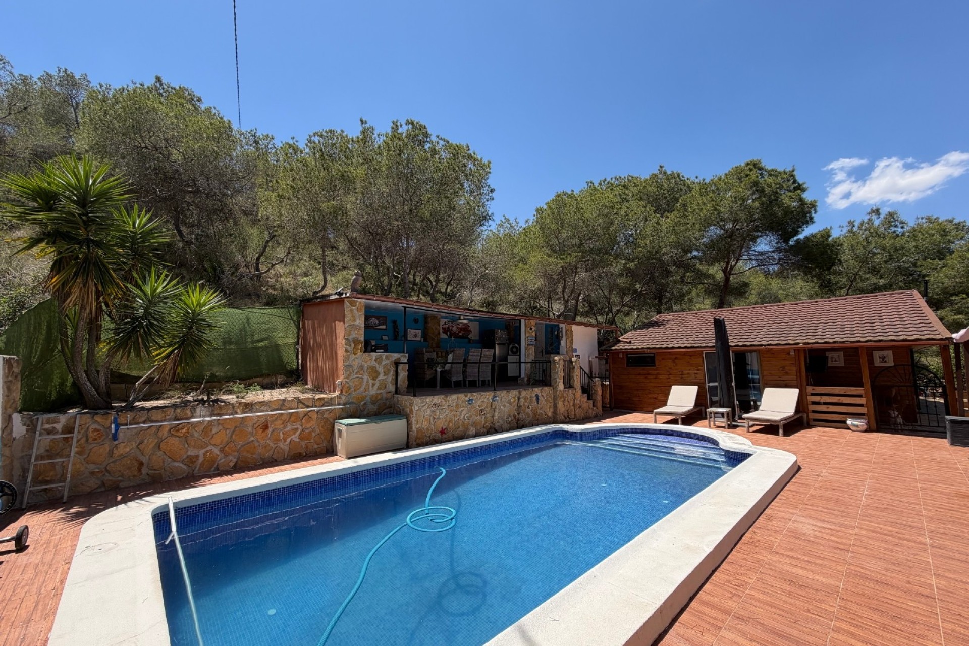Sprzedaż - Finca nieruchomość wiejska -
Orihuela - Torremendo