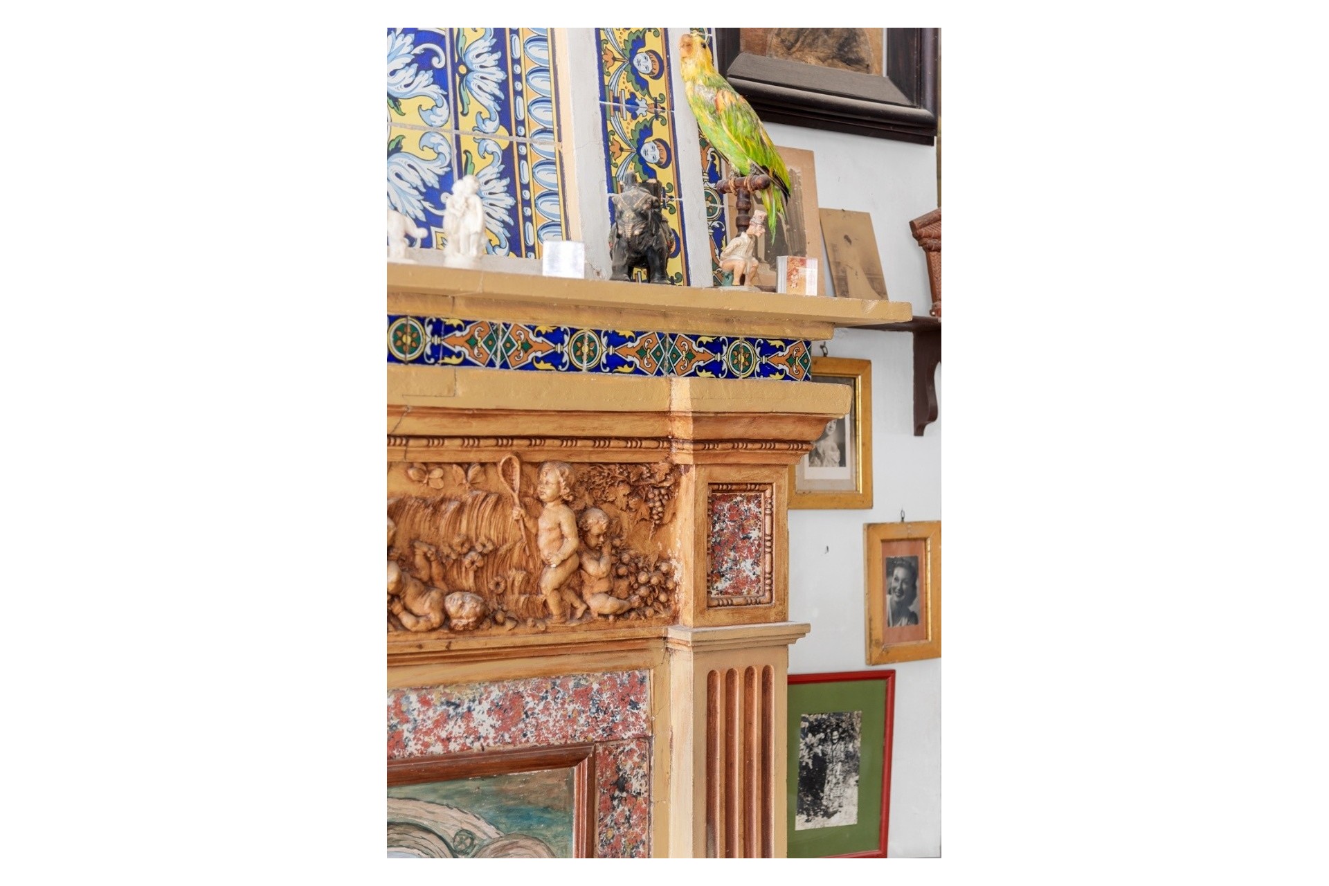 Sprzedaż - Finca nieruchomość wiejska -
Orihuela