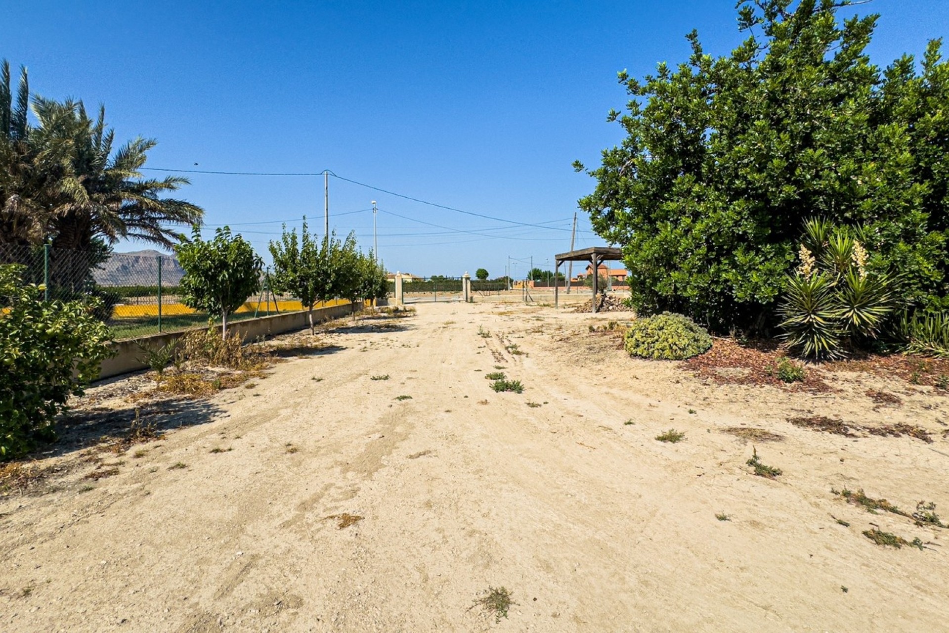 Sprzedaż - Finca nieruchomość wiejska -
Orihuela