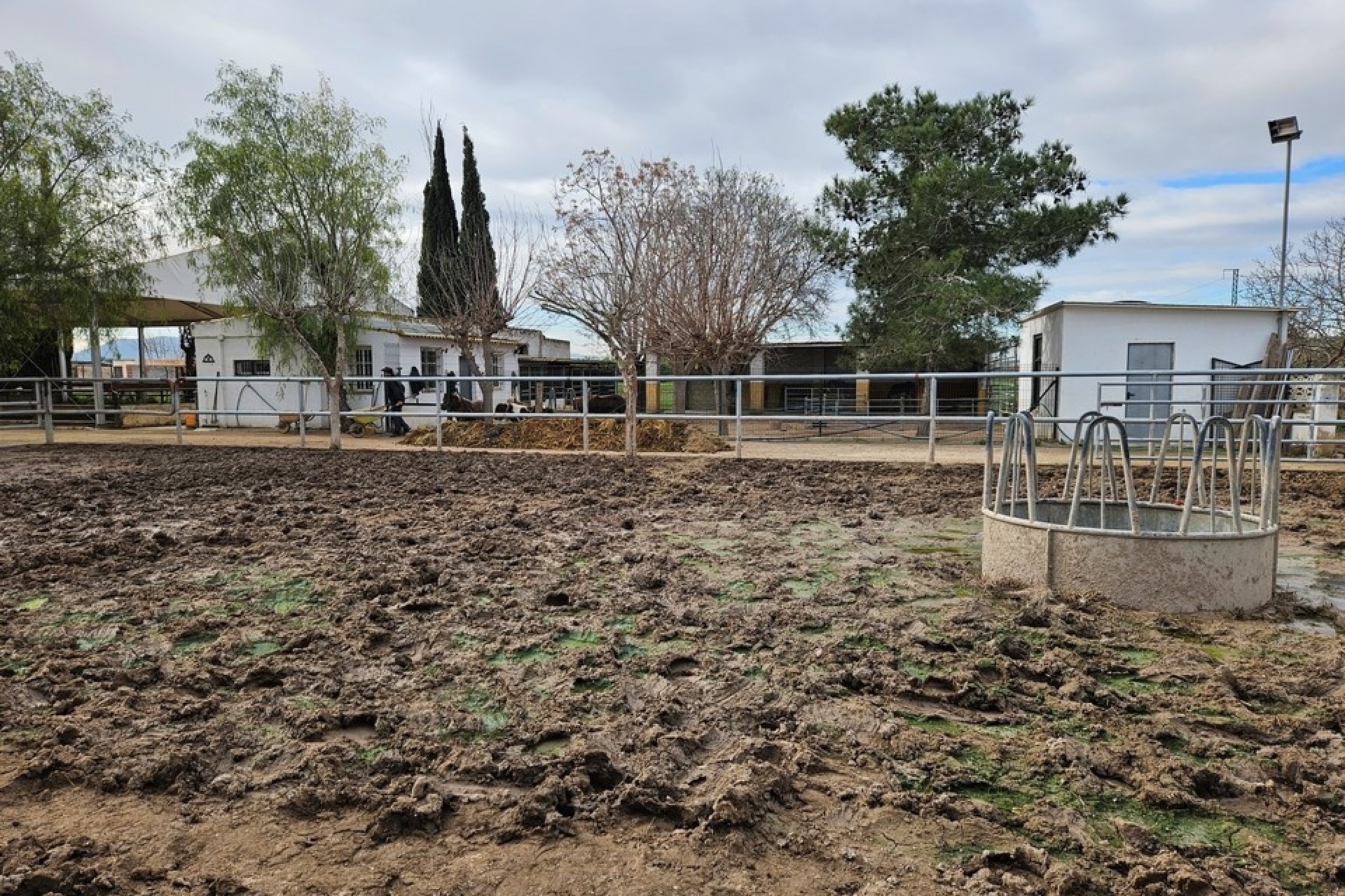 Sprzedaż - Finca nieruchomość wiejska -
Orihuela