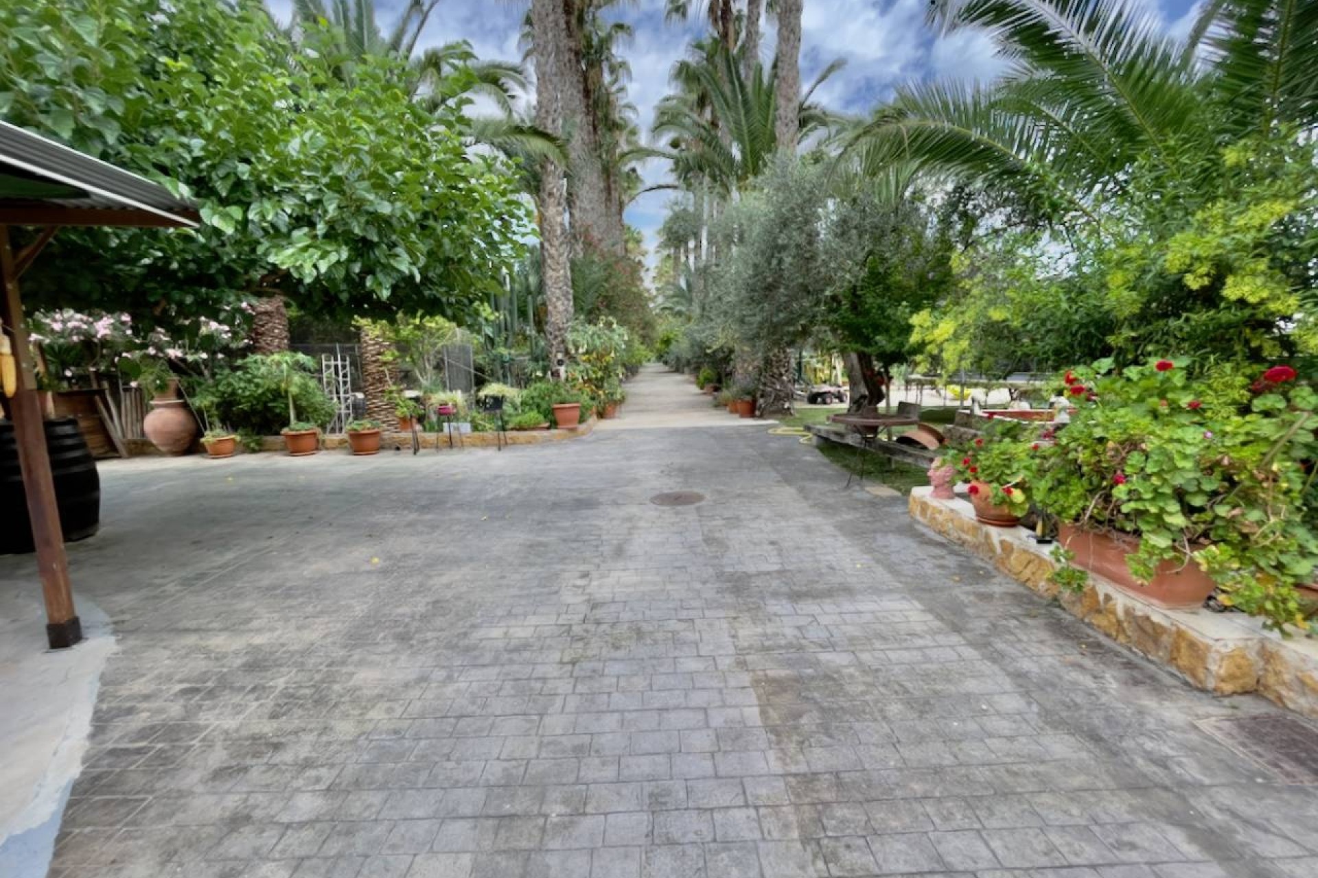 Sprzedaż - Finca nieruchomość wiejska -
Orihuela