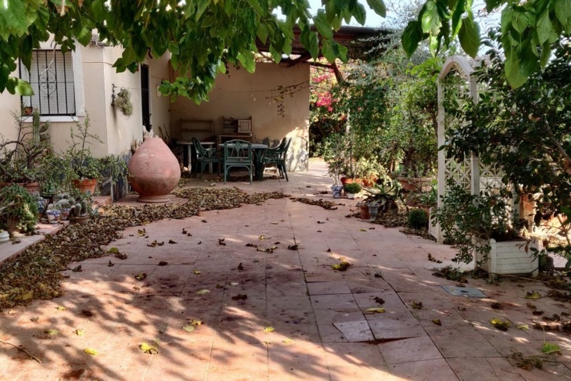 Sprzedaż - Finca nieruchomość wiejska -
Orihuela