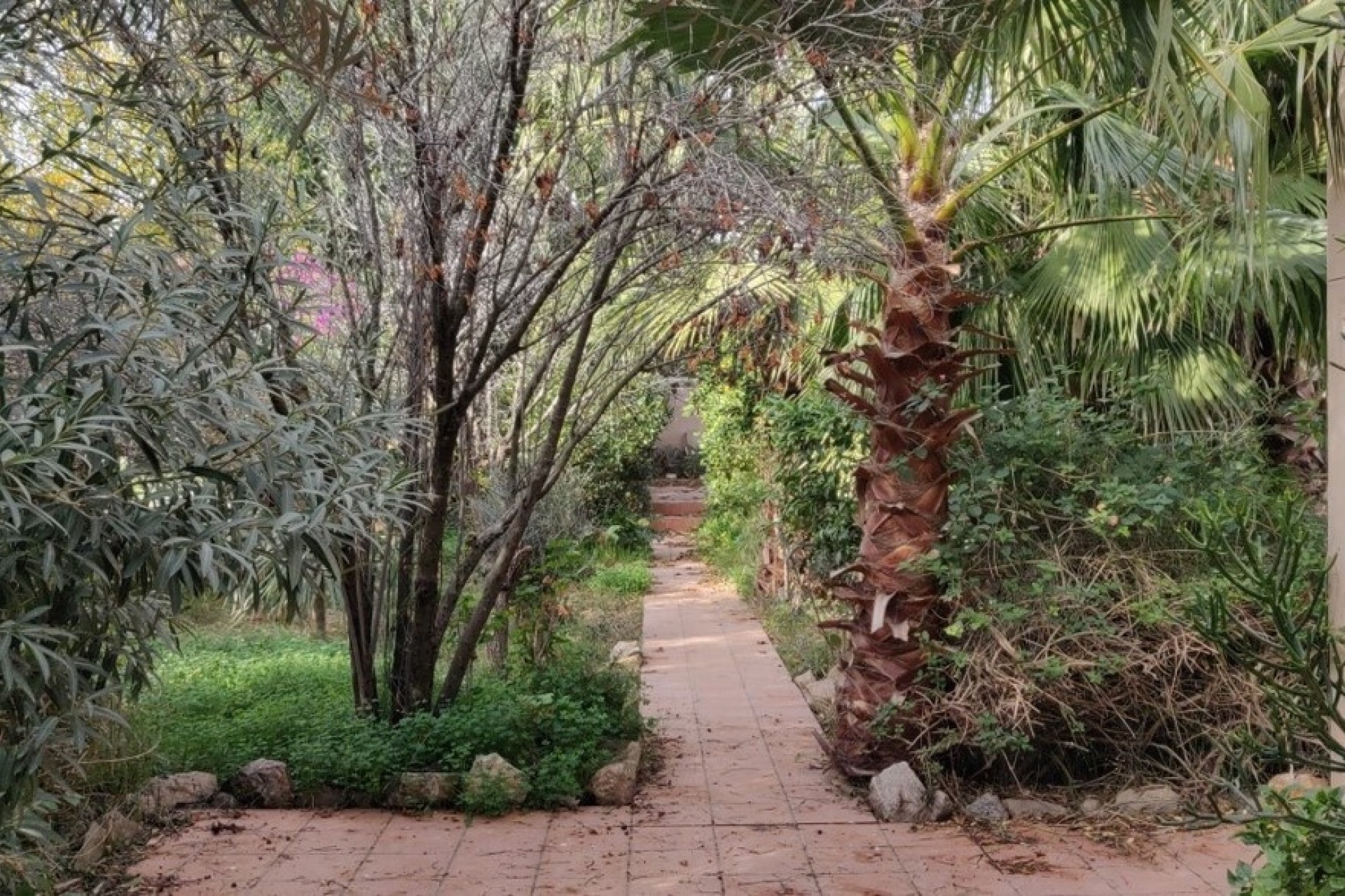 Sprzedaż - Finca nieruchomość wiejska -
Orihuela