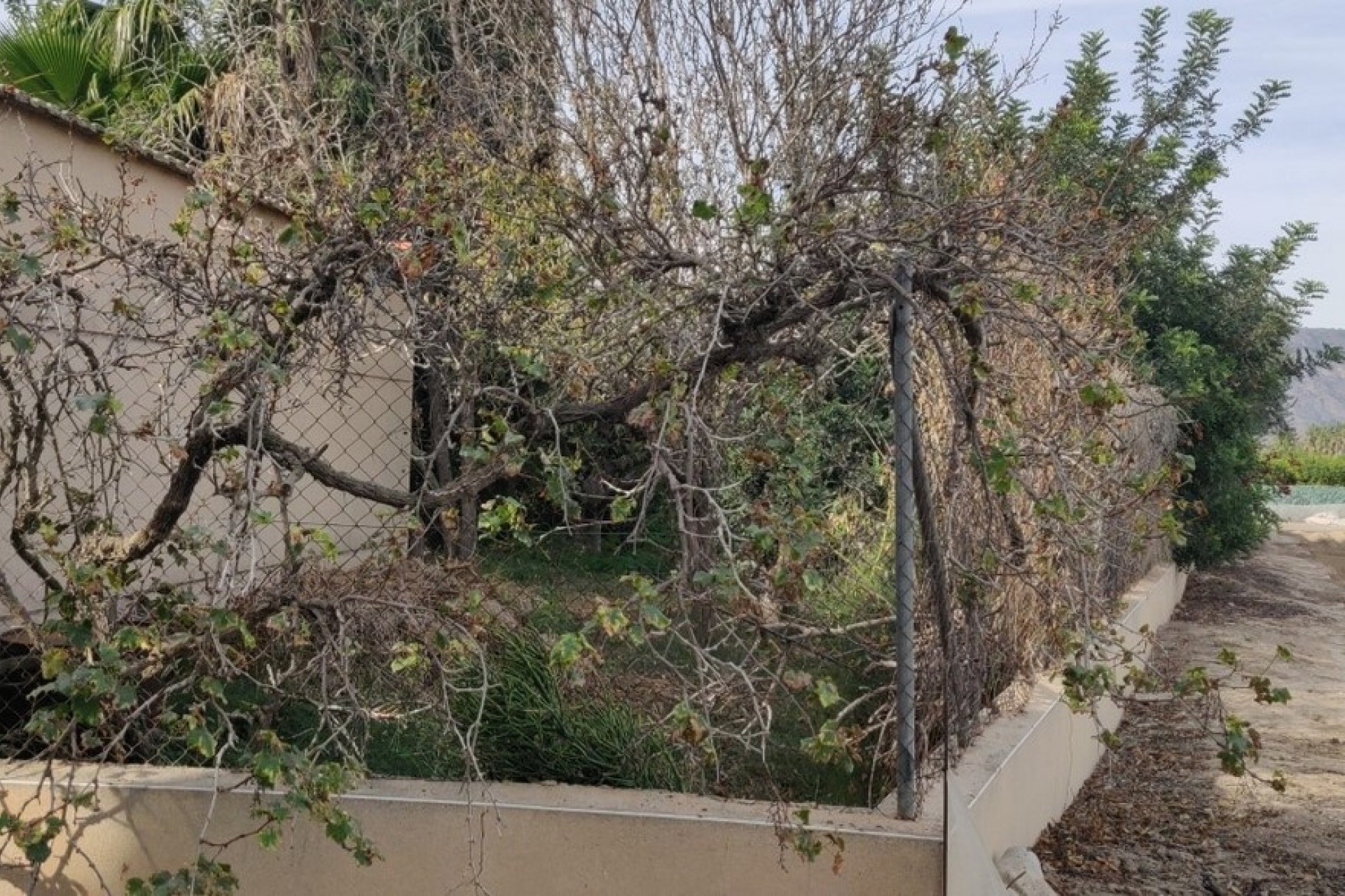 Sprzedaż - Finca nieruchomość wiejska -
Orihuela