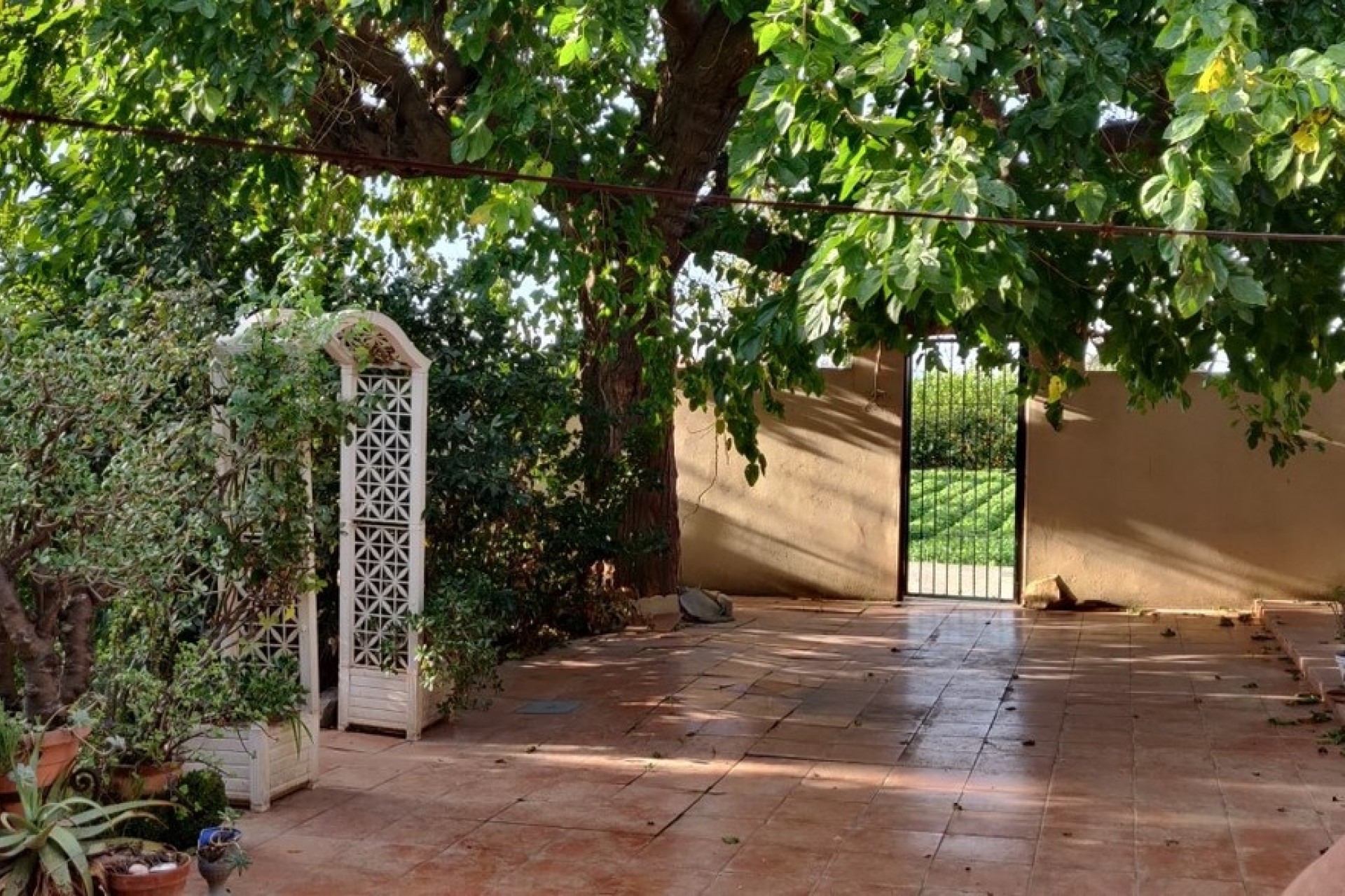 Sprzedaż - Finca nieruchomość wiejska -
Orihuela