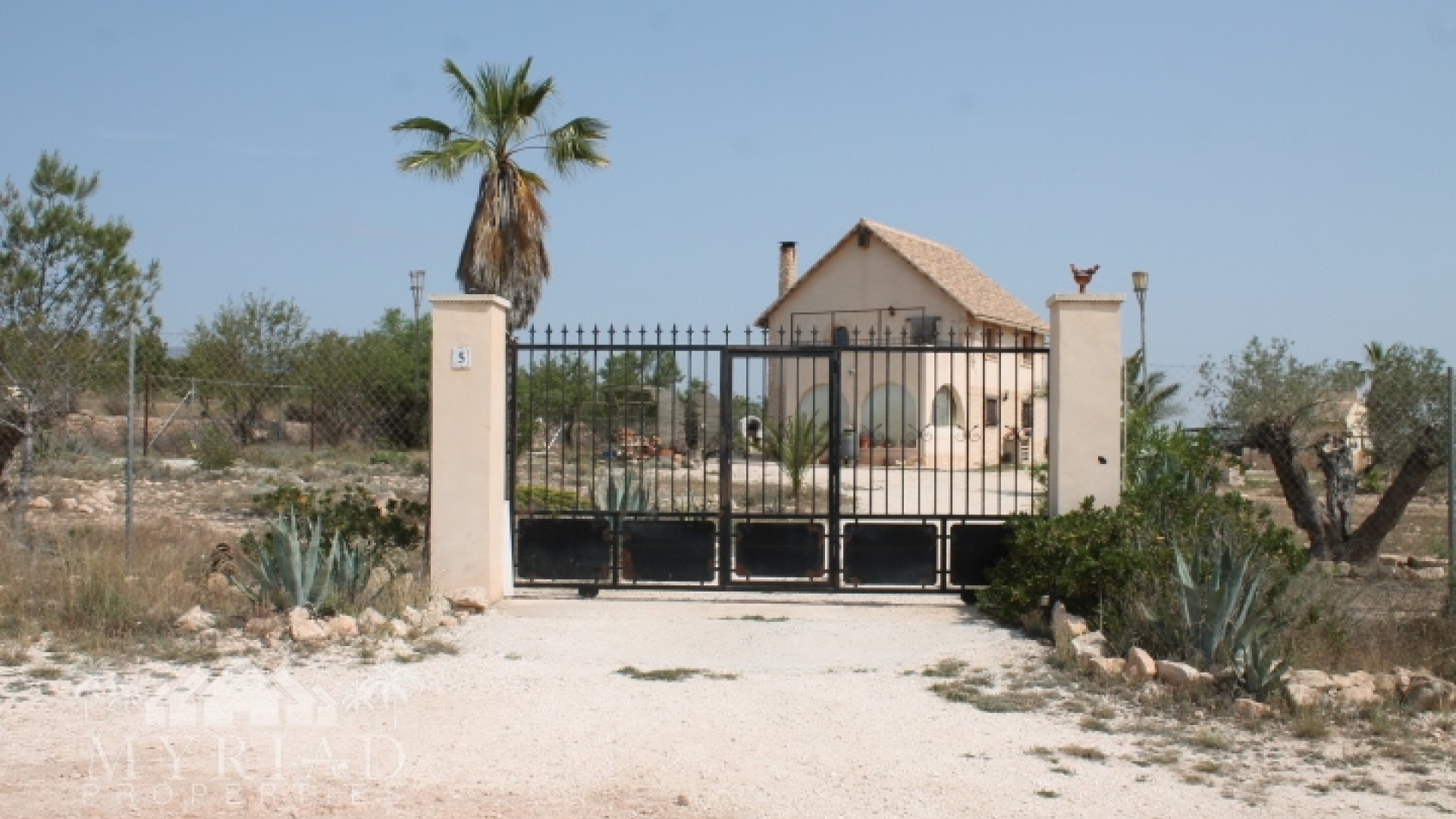 Sprzedaż - Finca nieruchomość wiejska -
Pinoso - Pinoso Alicante