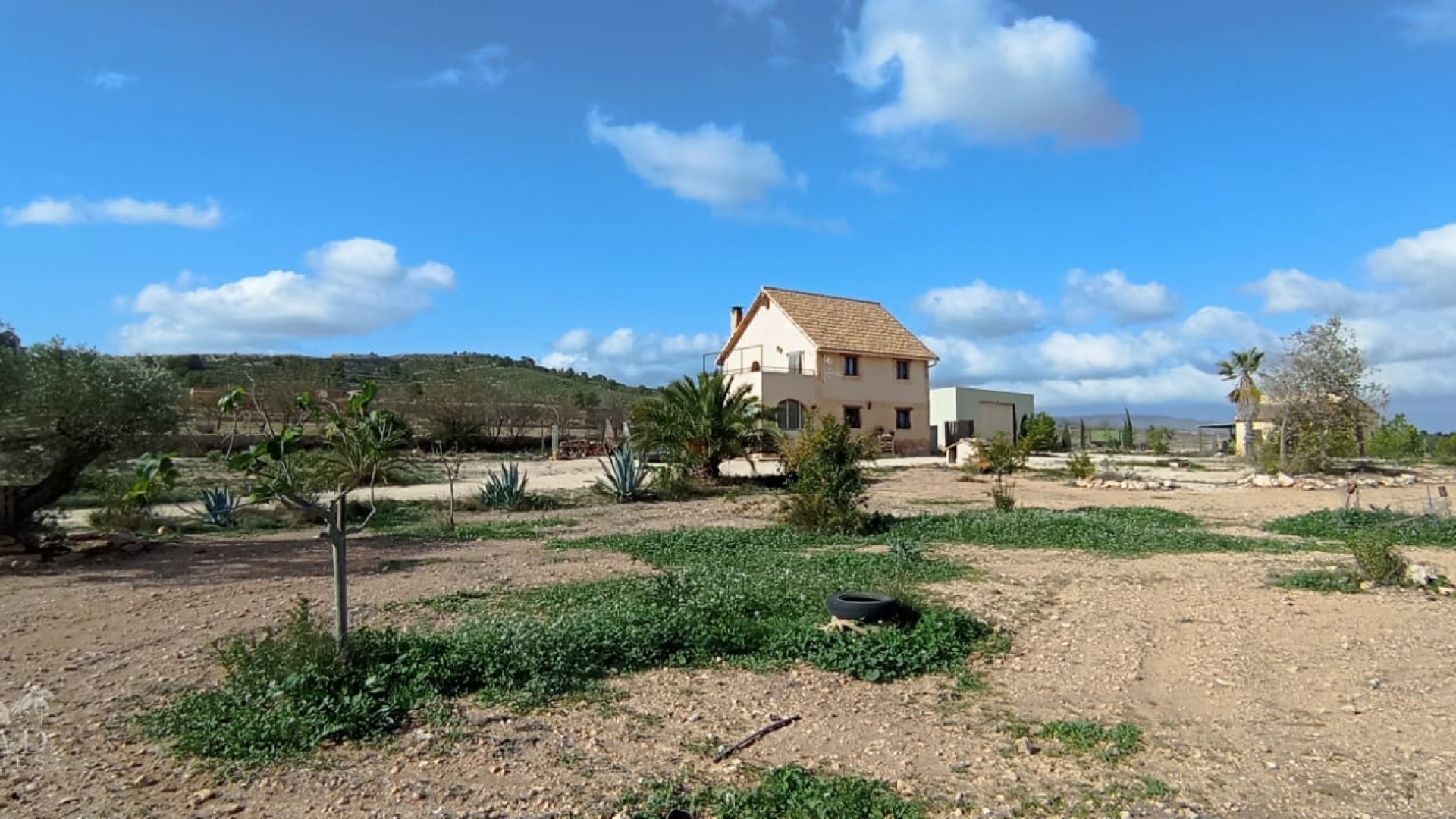 Sprzedaż - Finca nieruchomość wiejska -
Pinoso - Pinoso Alicante