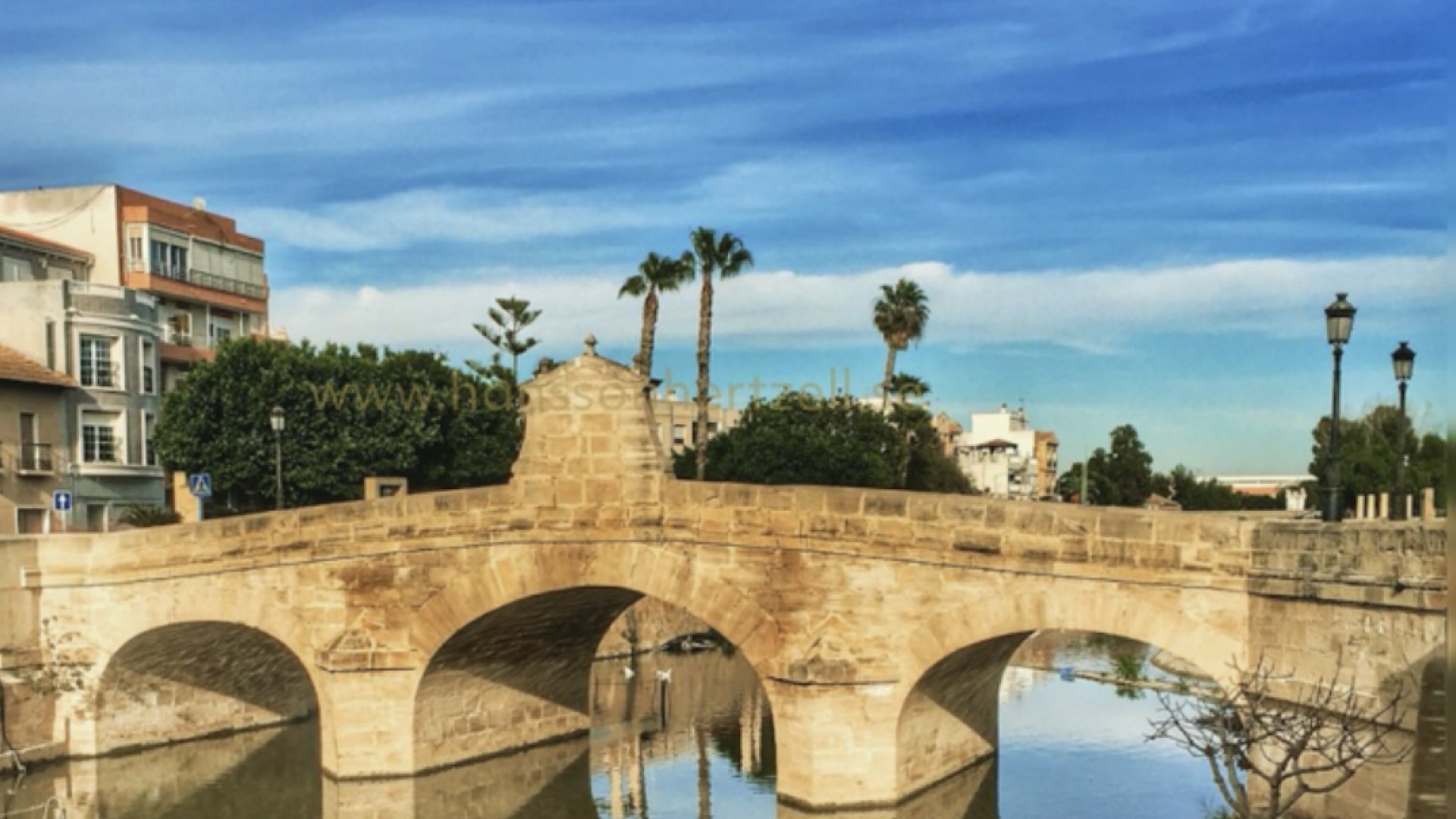 Sprzedaż - Finca nieruchomość wiejska -
Rojales - 0