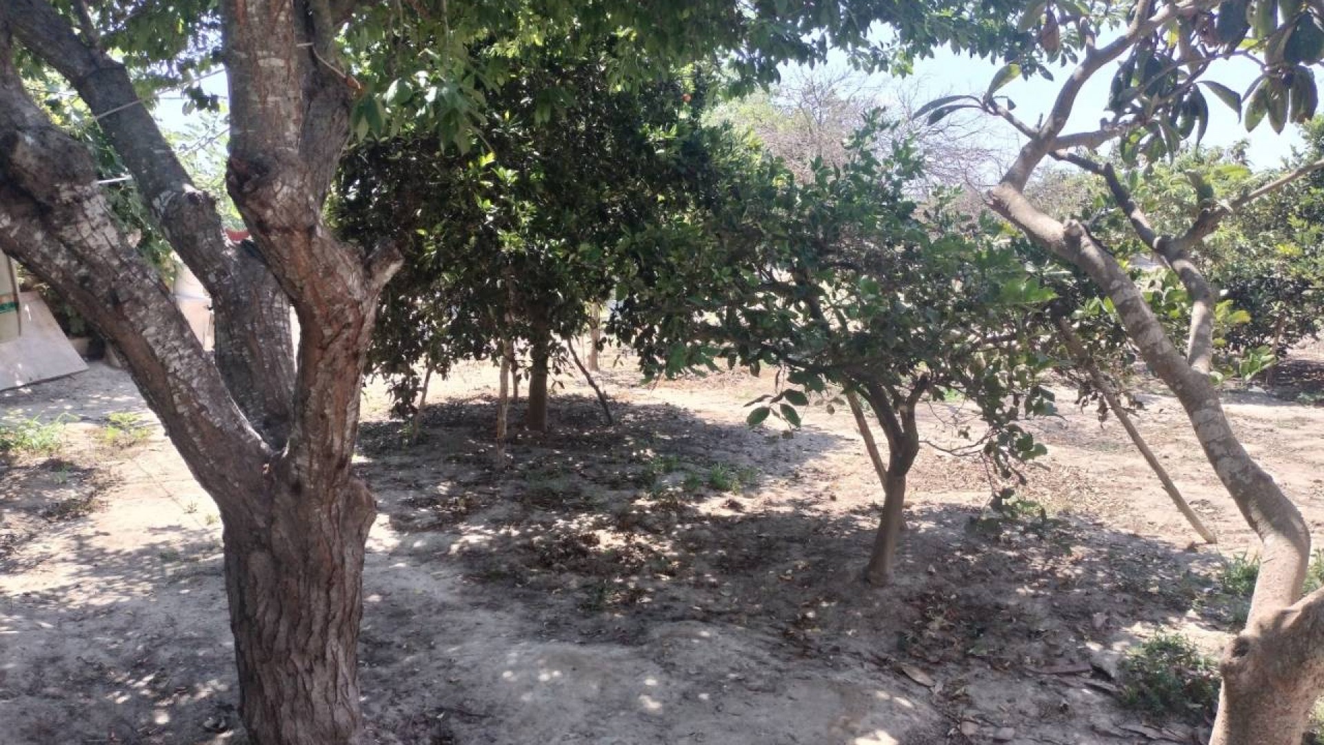 Sprzedaż - Finca nieruchomość wiejska -
Rojales - Cuidad Quesada