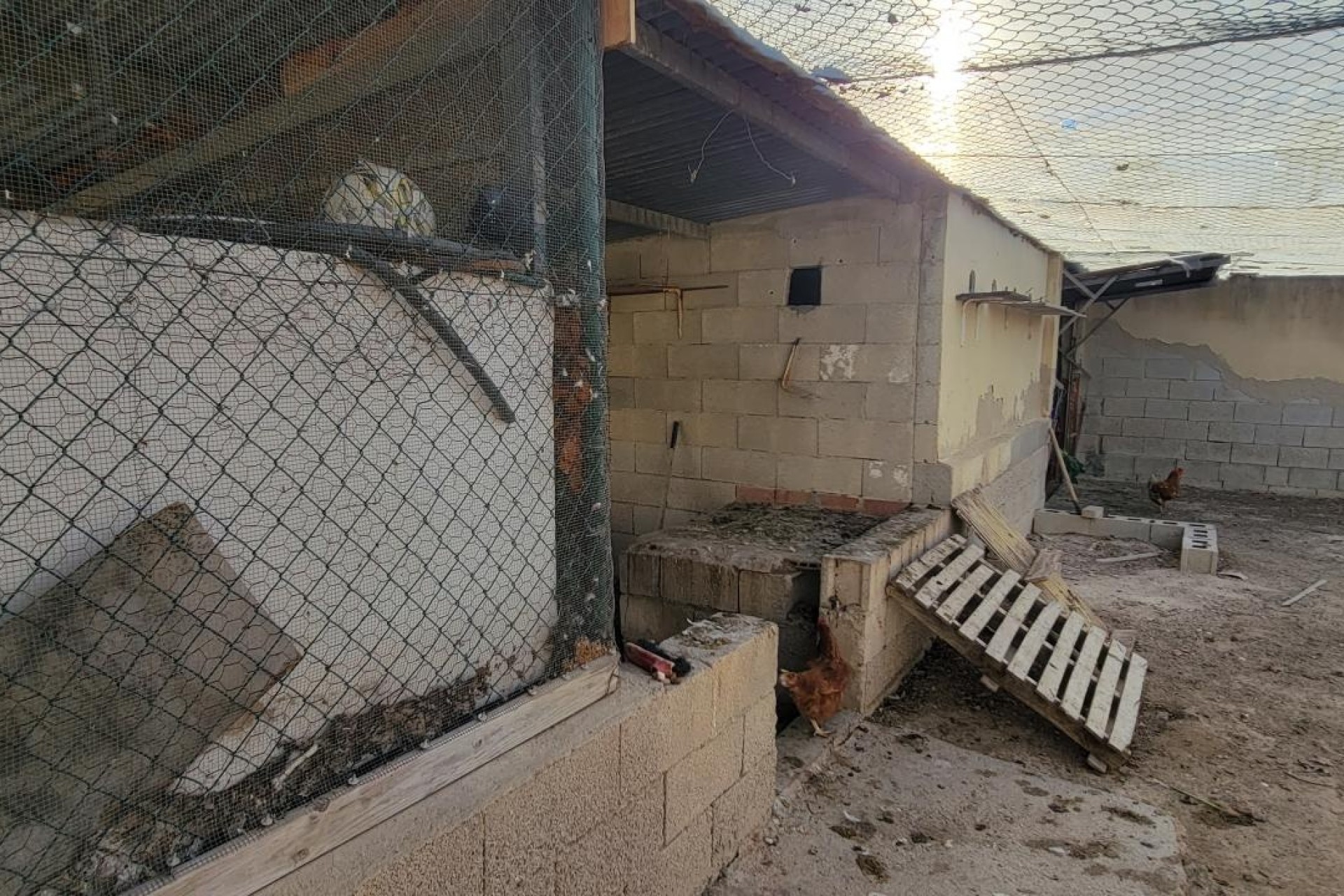 Sprzedaż - Finca nieruchomość wiejska -
San Miguel de Salinas