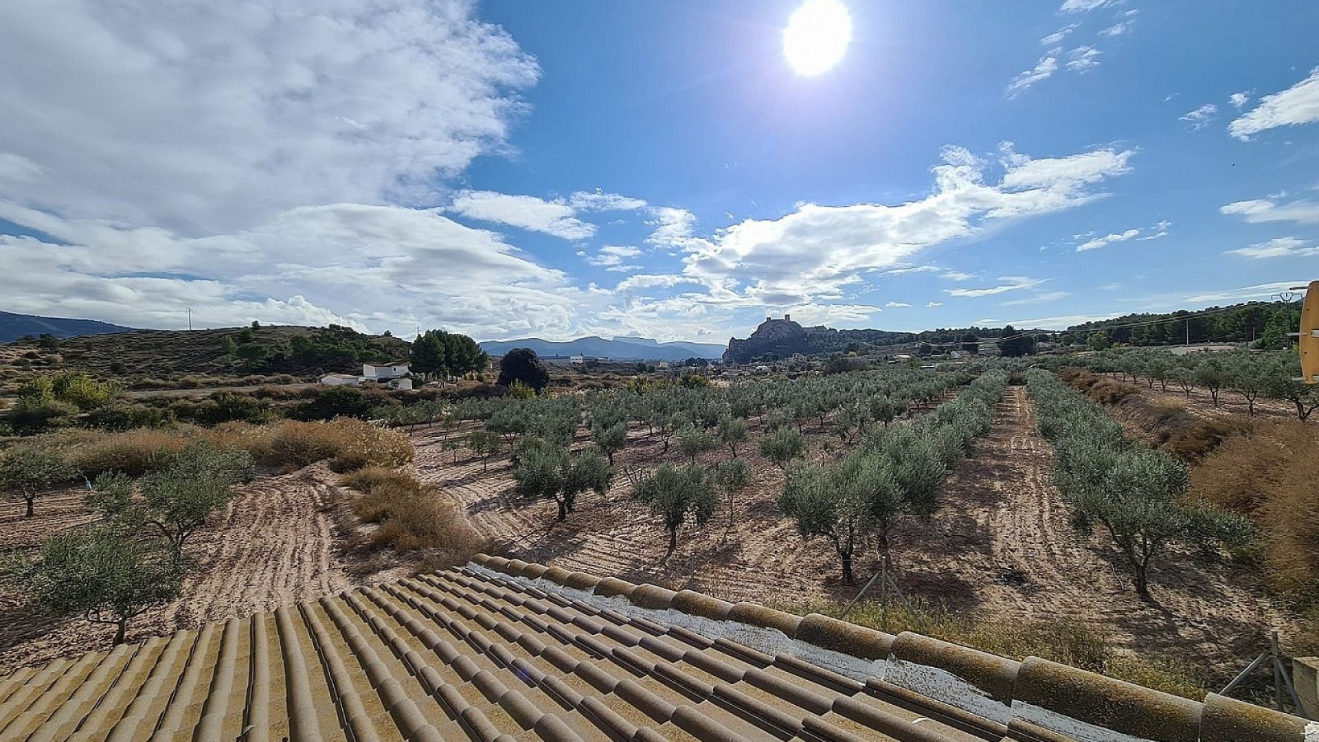 Sprzedaż - Finca nieruchomość wiejska -
SAX