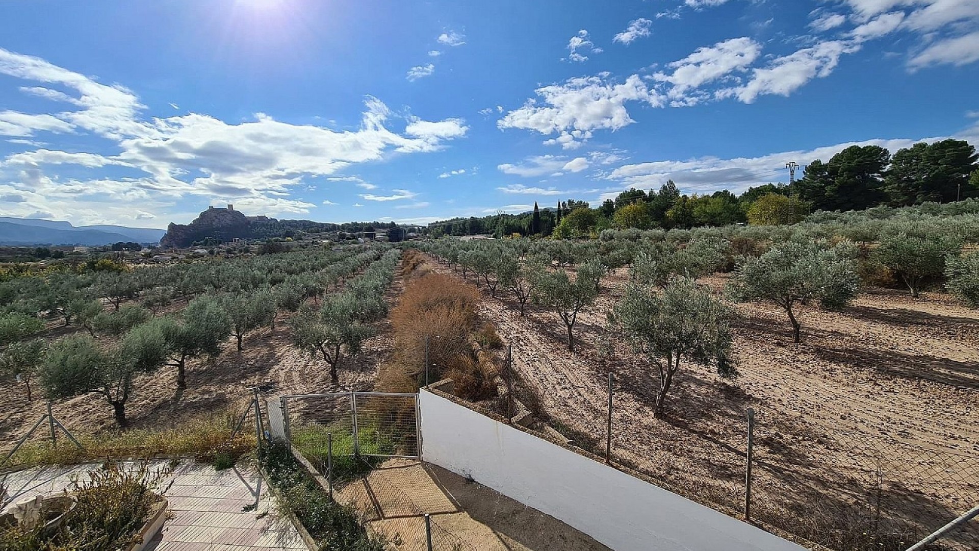 Sprzedaż - Finca nieruchomość wiejska -
SAX