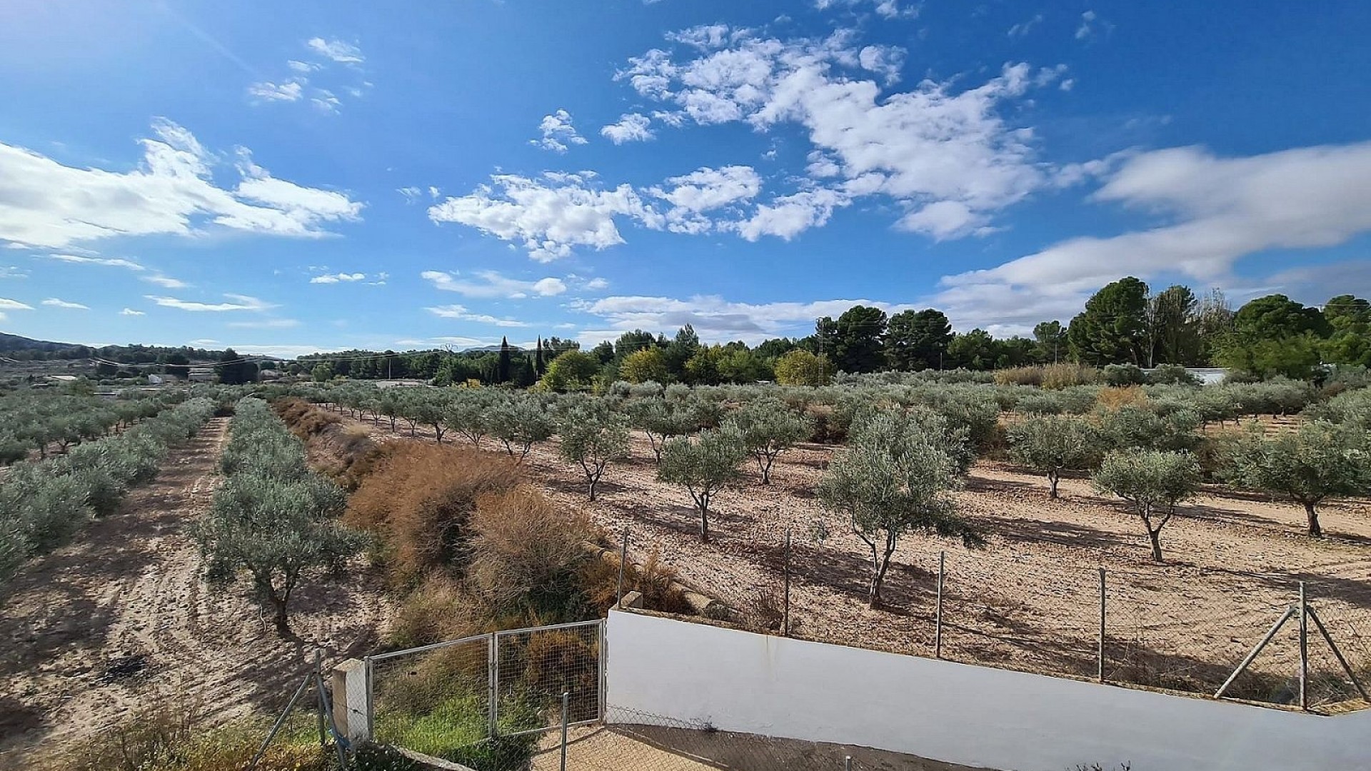 Sprzedaż - Finca nieruchomość wiejska -
SAX