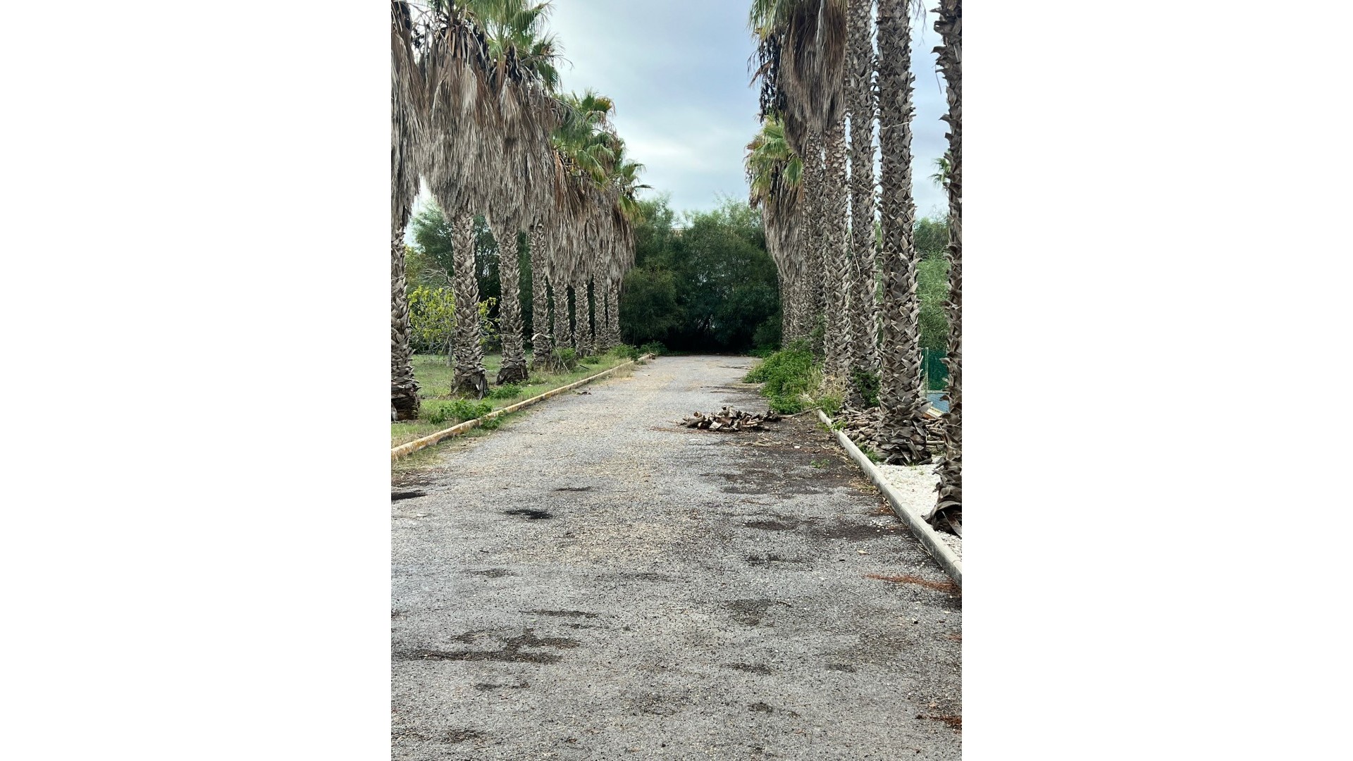 Sprzedaż - Finca nieruchomość wiejska -
Torrevieja