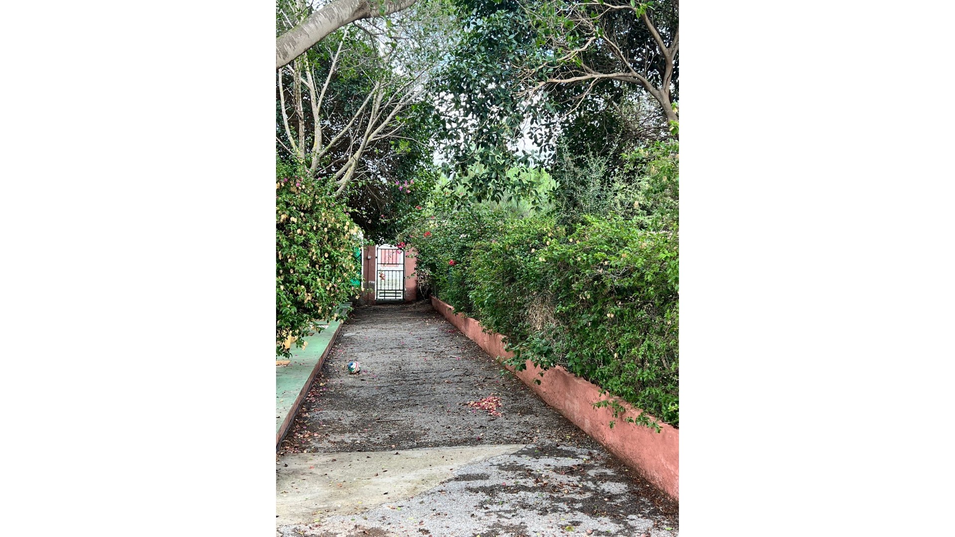 Sprzedaż - Finca nieruchomość wiejska -
Torrevieja