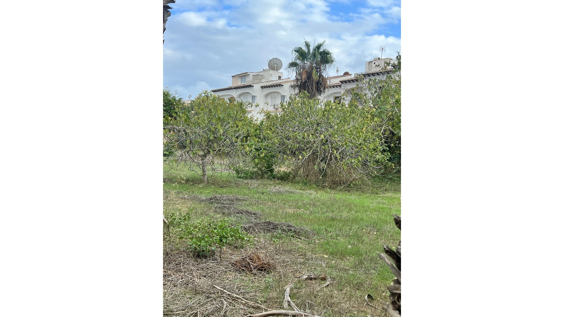 Sprzedaż - Finca nieruchomość wiejska -
Torrevieja