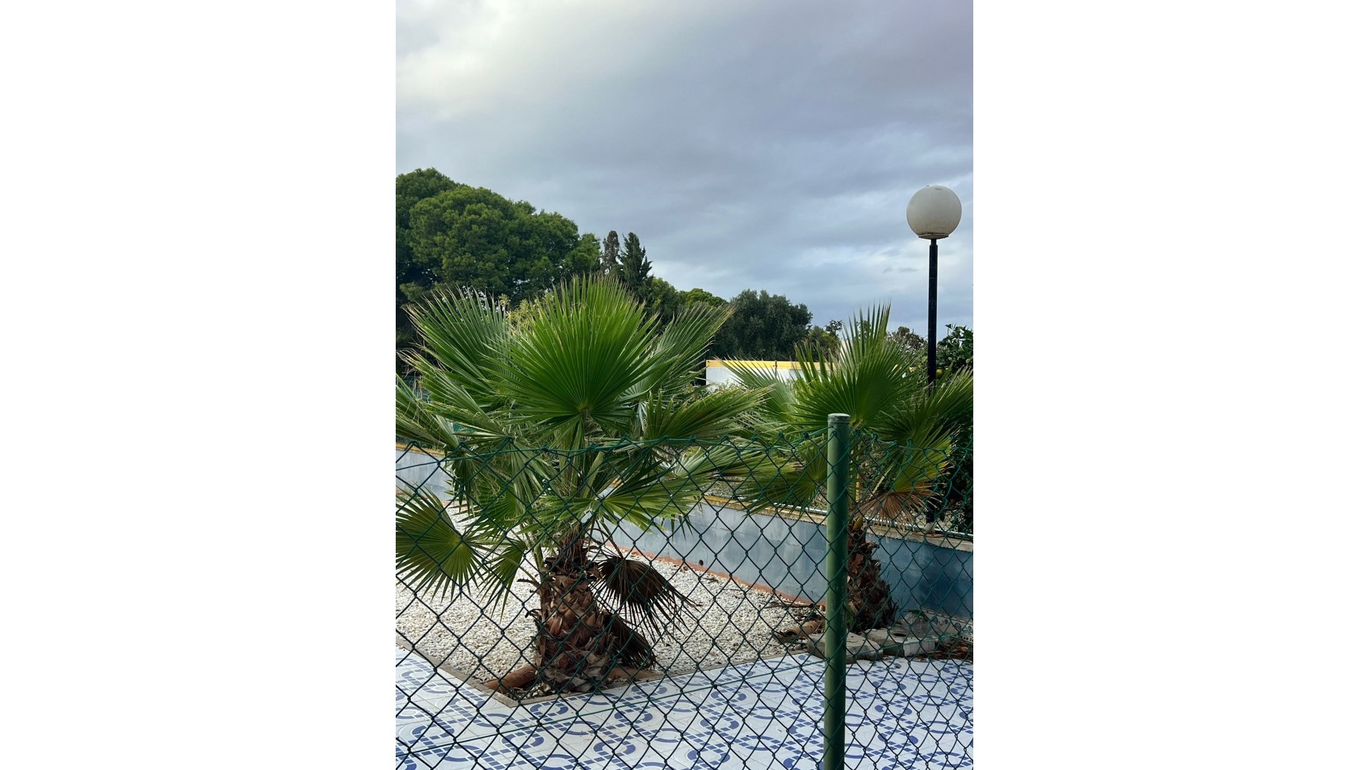 Sprzedaż - Finca nieruchomość wiejska -
Torrevieja