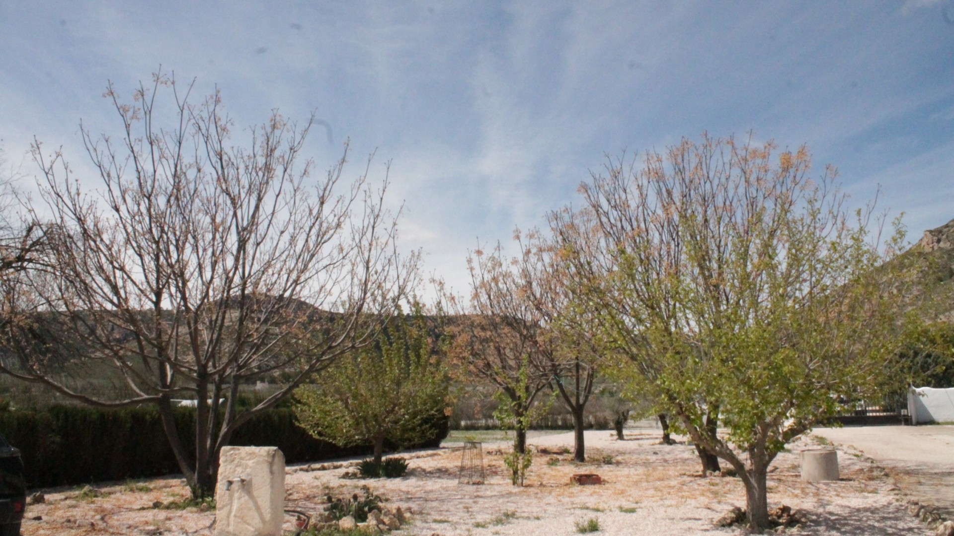 Sprzedaż - Finca nieruchomość wiejska -
Villena - Villena Alicante