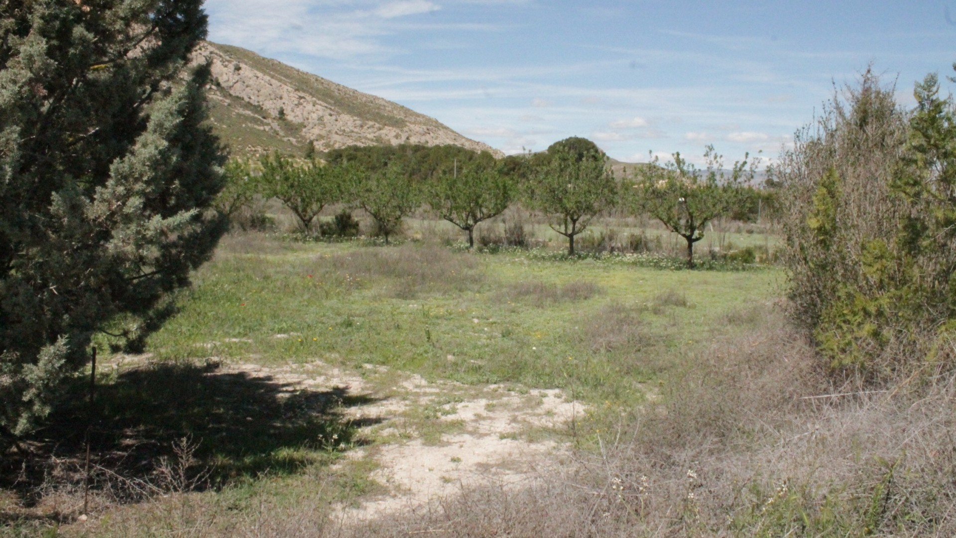 Sprzedaż - Finca nieruchomość wiejska -
Villena - Villena Alicante