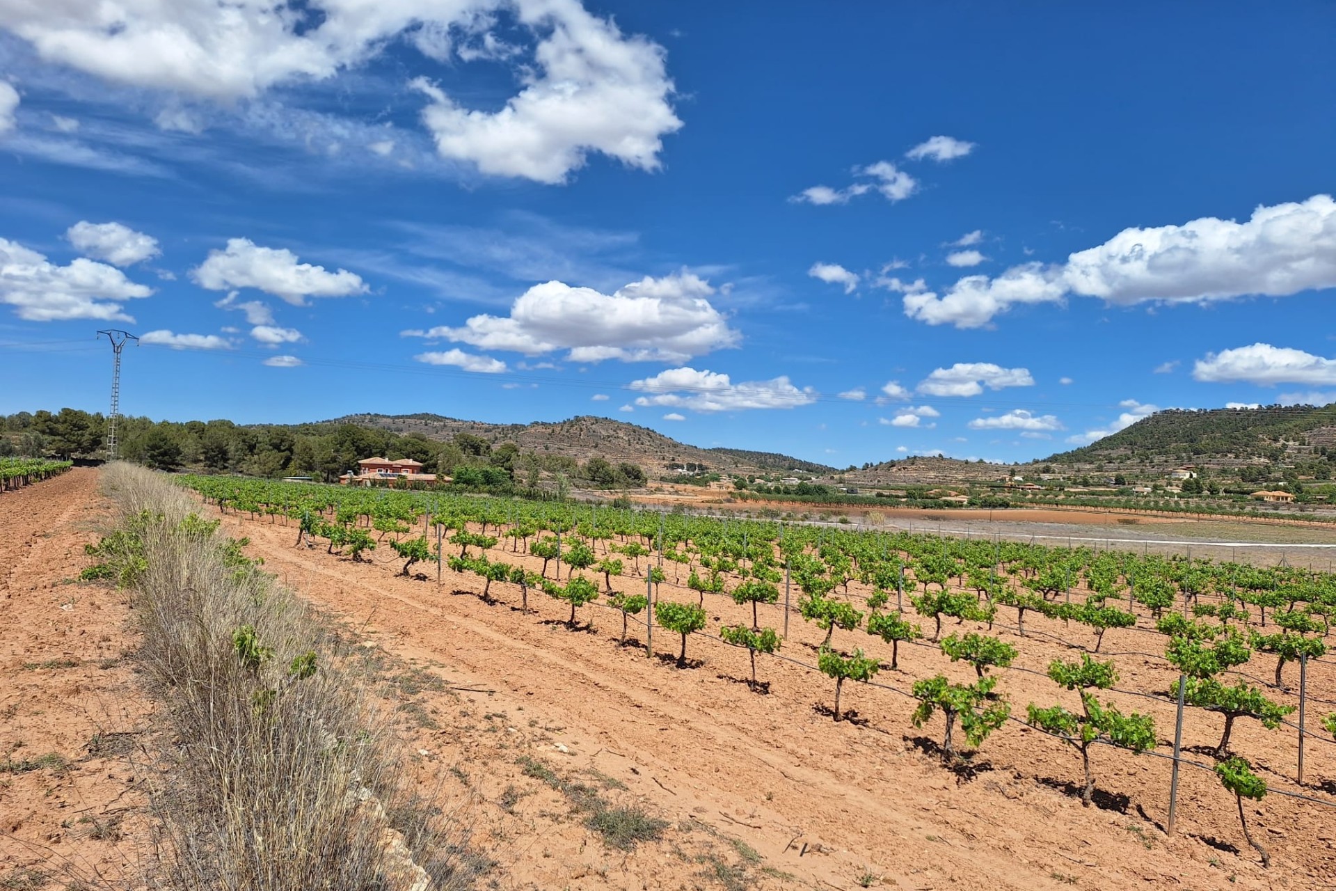 Sprzedaż - Grunt -
Pinoso