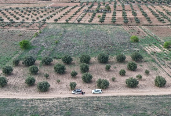  - Sprzedaż - Jumilla - Jumilla