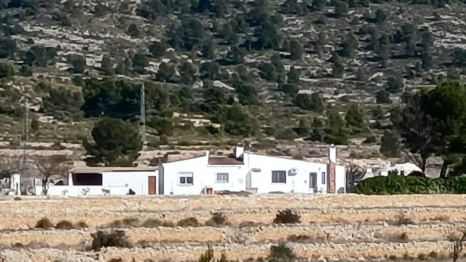 Sprzedaż - Nieruchomość jeździecka -
Monóvar