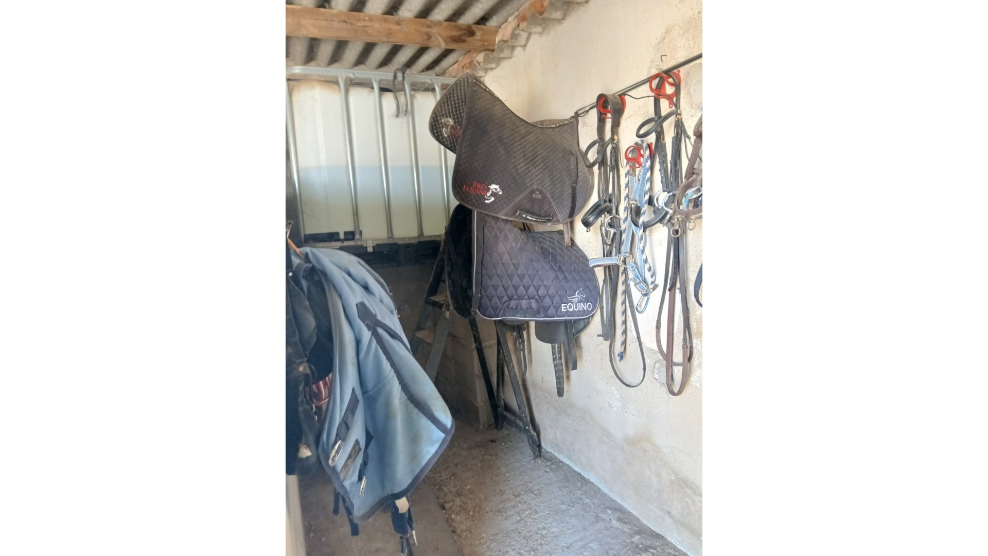 Sprzedaż - Nieruchomość jeździecka -
Monóvar