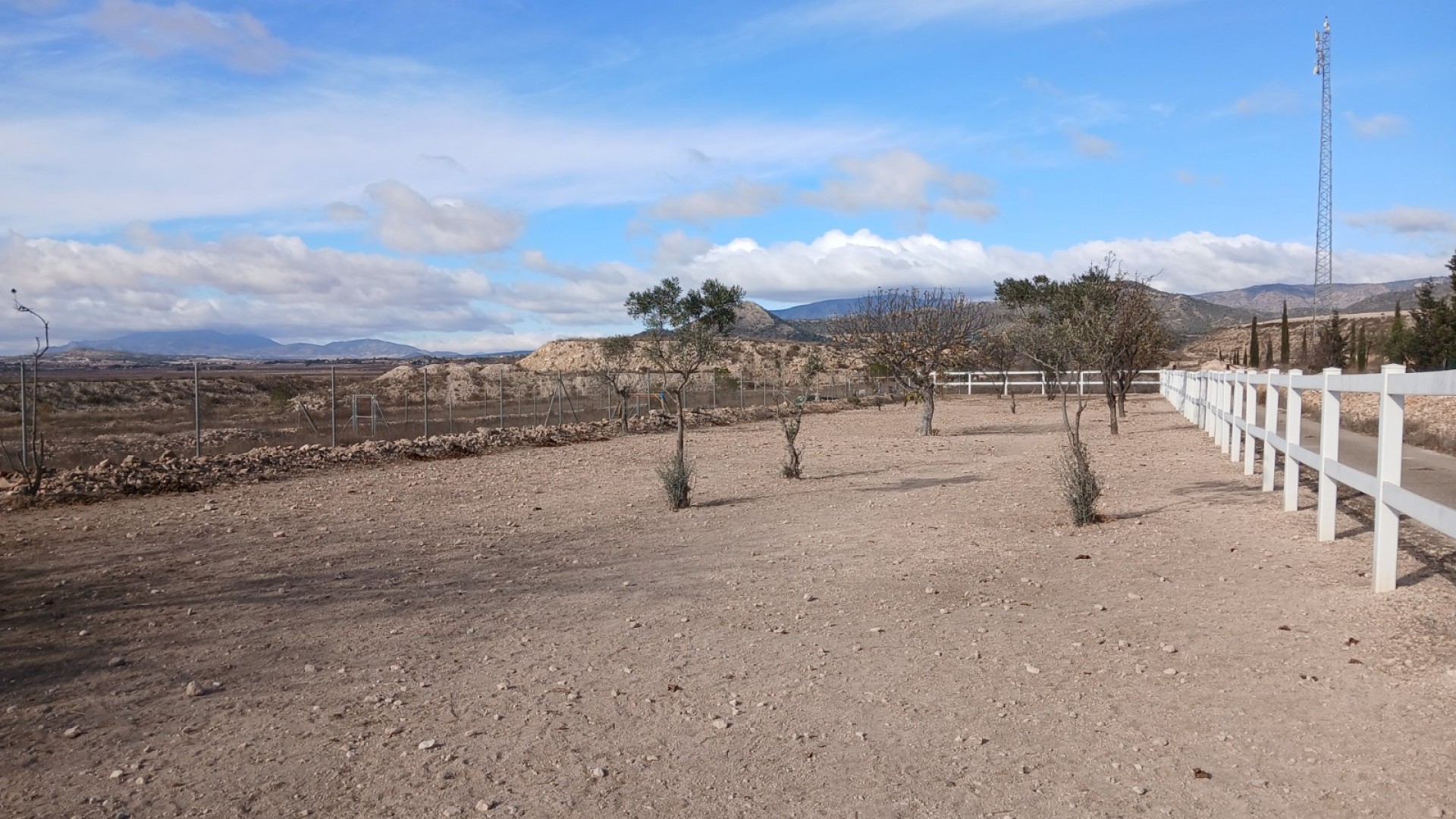 Sprzedaż - Nieruchomość jeździecka -
Monóvar