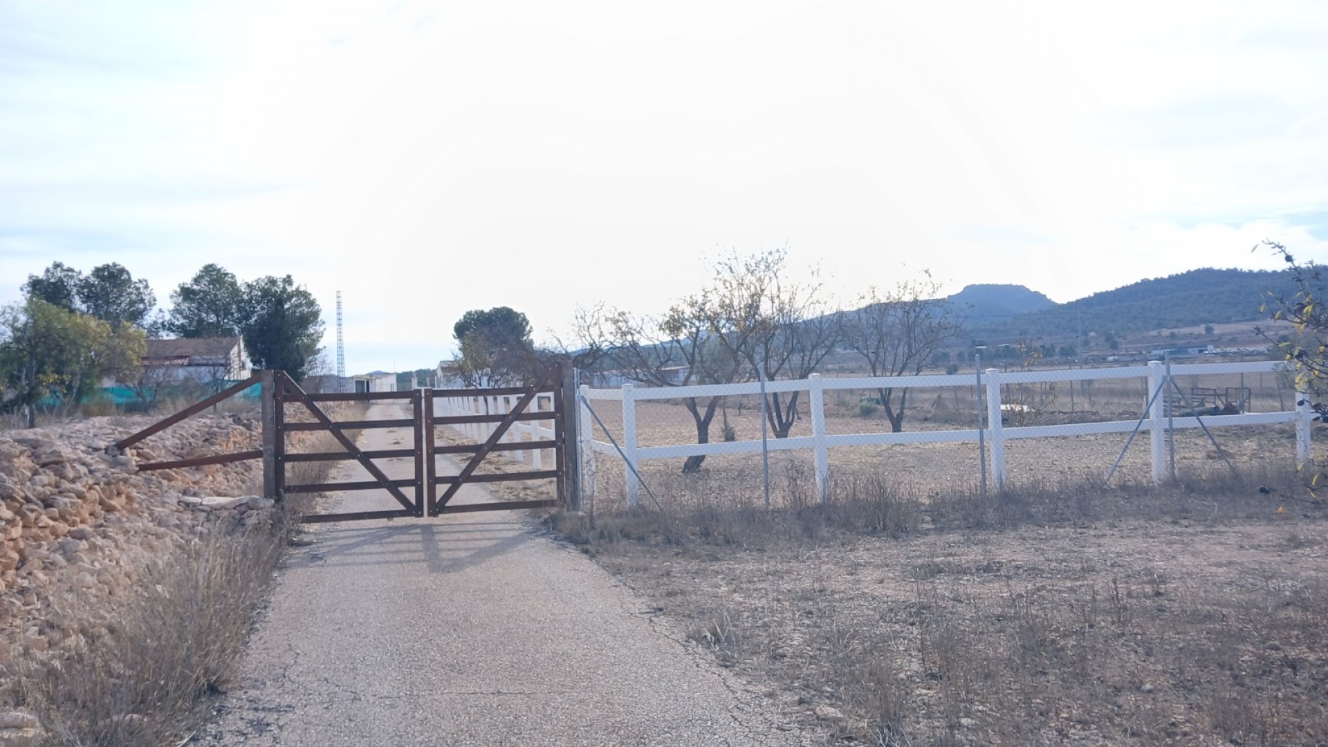 Sprzedaż - Nieruchomość jeździecka -
Monóvar