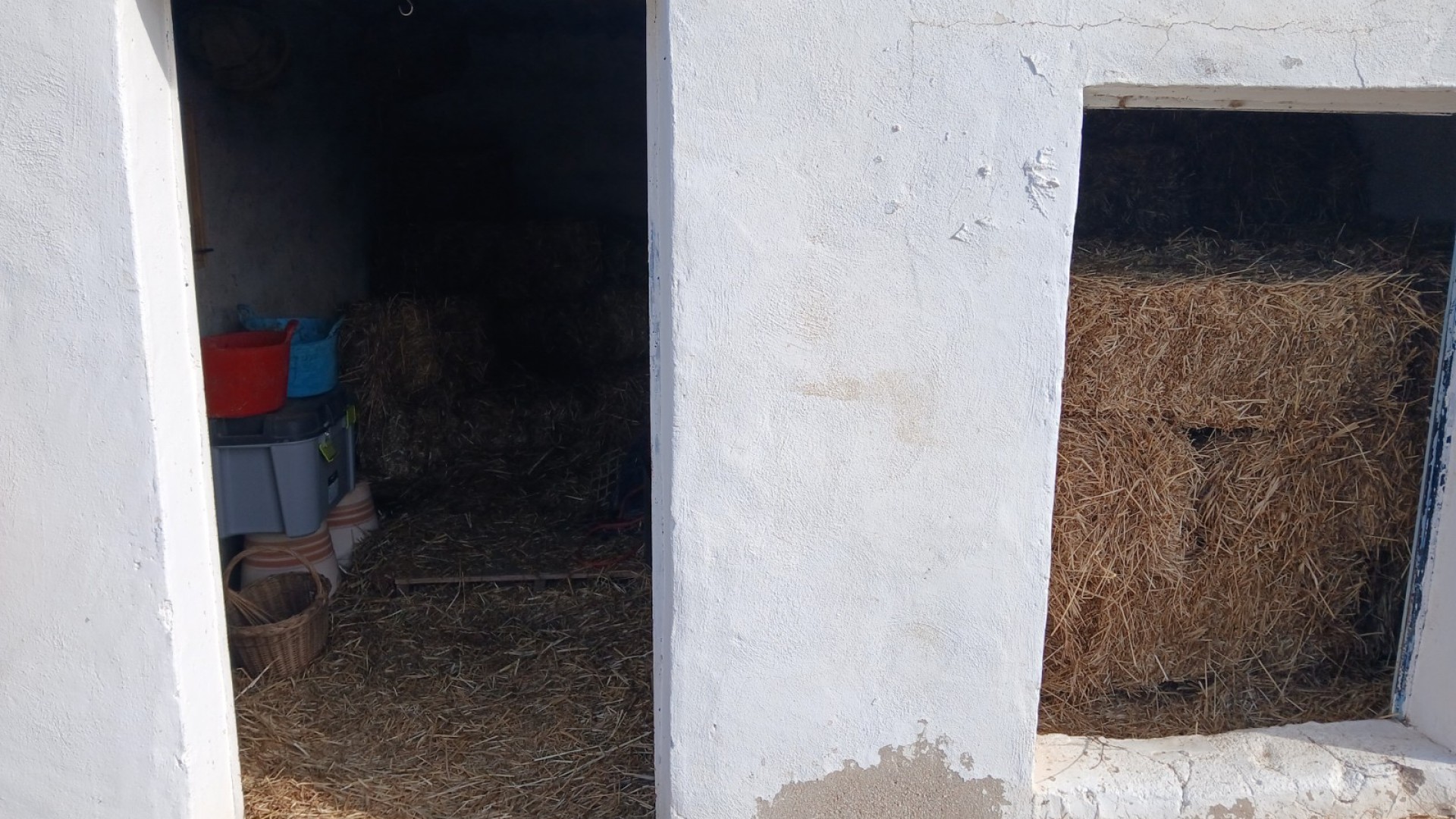 Sprzedaż - Nieruchomość jeździecka -
Monóvar