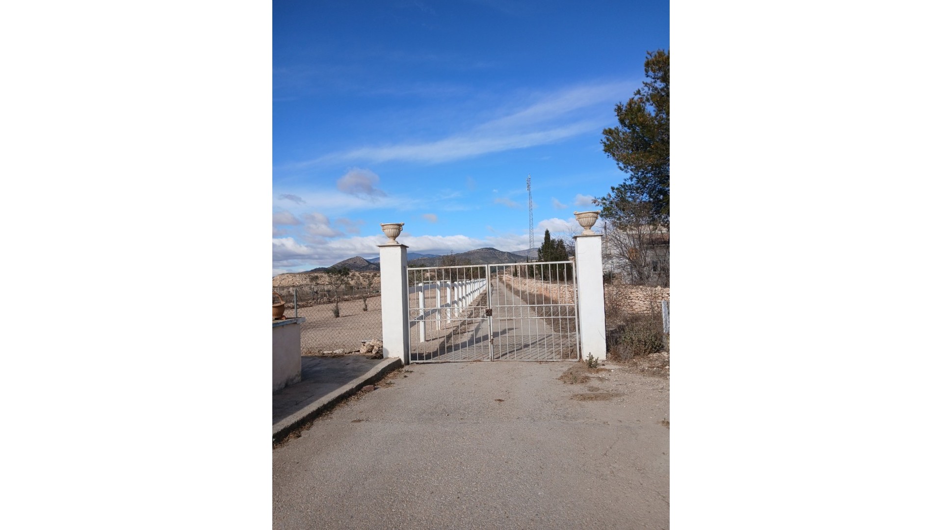 Sprzedaż - Nieruchomość jeździecka -
Monóvar