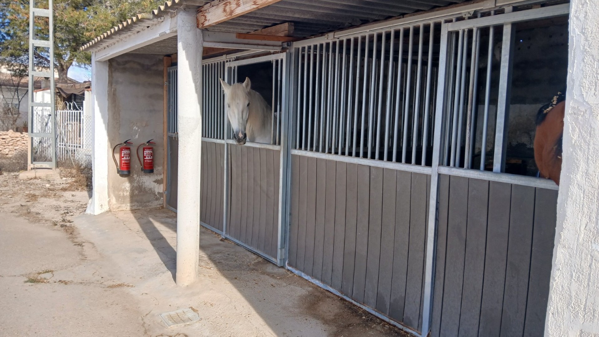 Sprzedaż - Nieruchomość jeździecka -
Monóvar