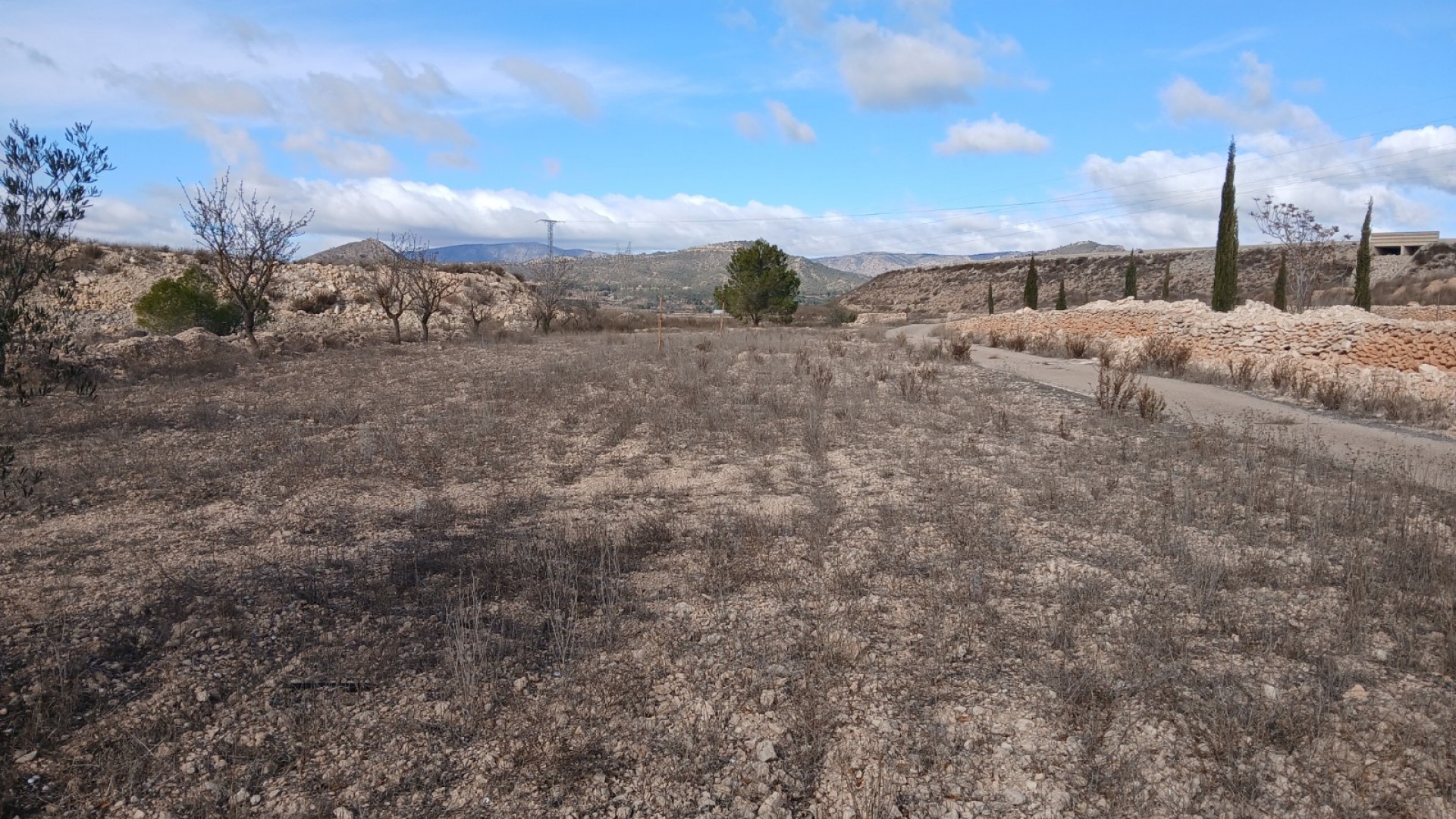 Sprzedaż - Nieruchomość jeździecka -
Monóvar