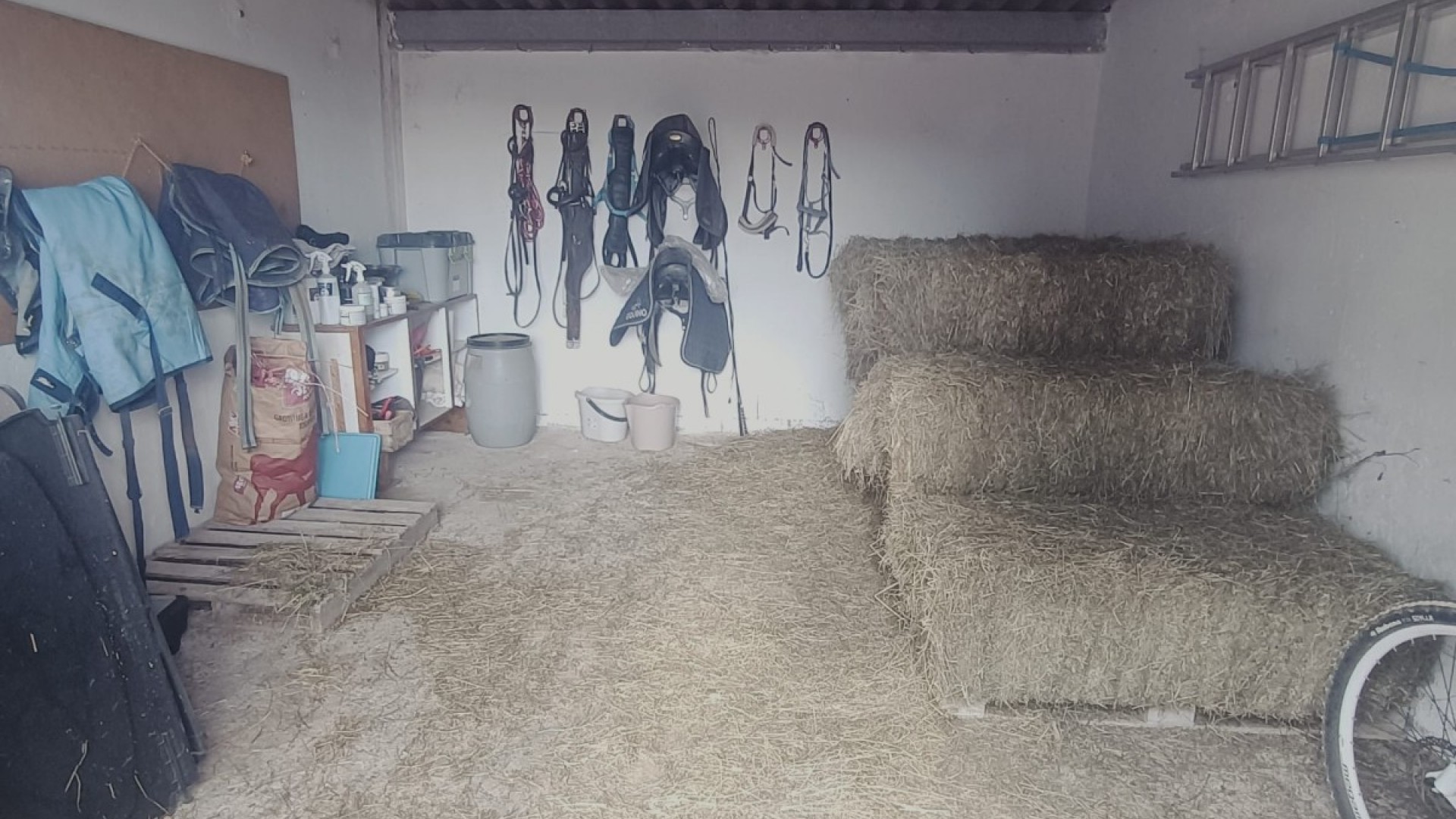 Sprzedaż - Nieruchomość jeździecka -
Monóvar