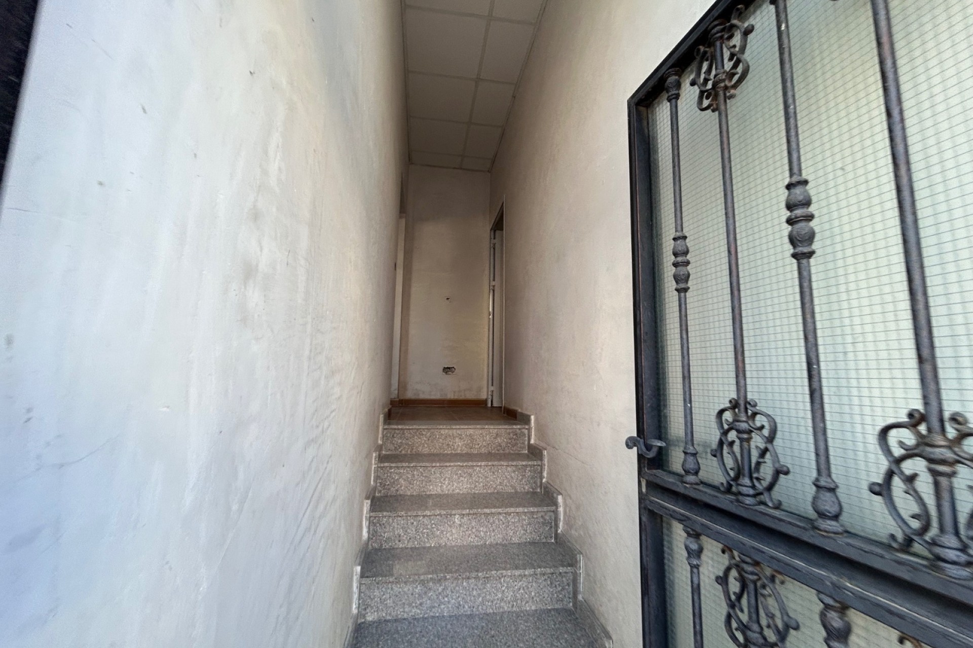 Sprzedaż - Reklama w telewizji -
Jacarilla