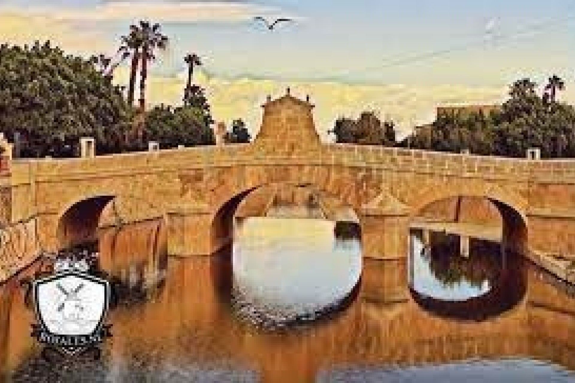 Sprzedaż -  -
Rojales - Centro