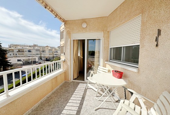  - Sprzedaż - Torrevieja -
                Torrevieja