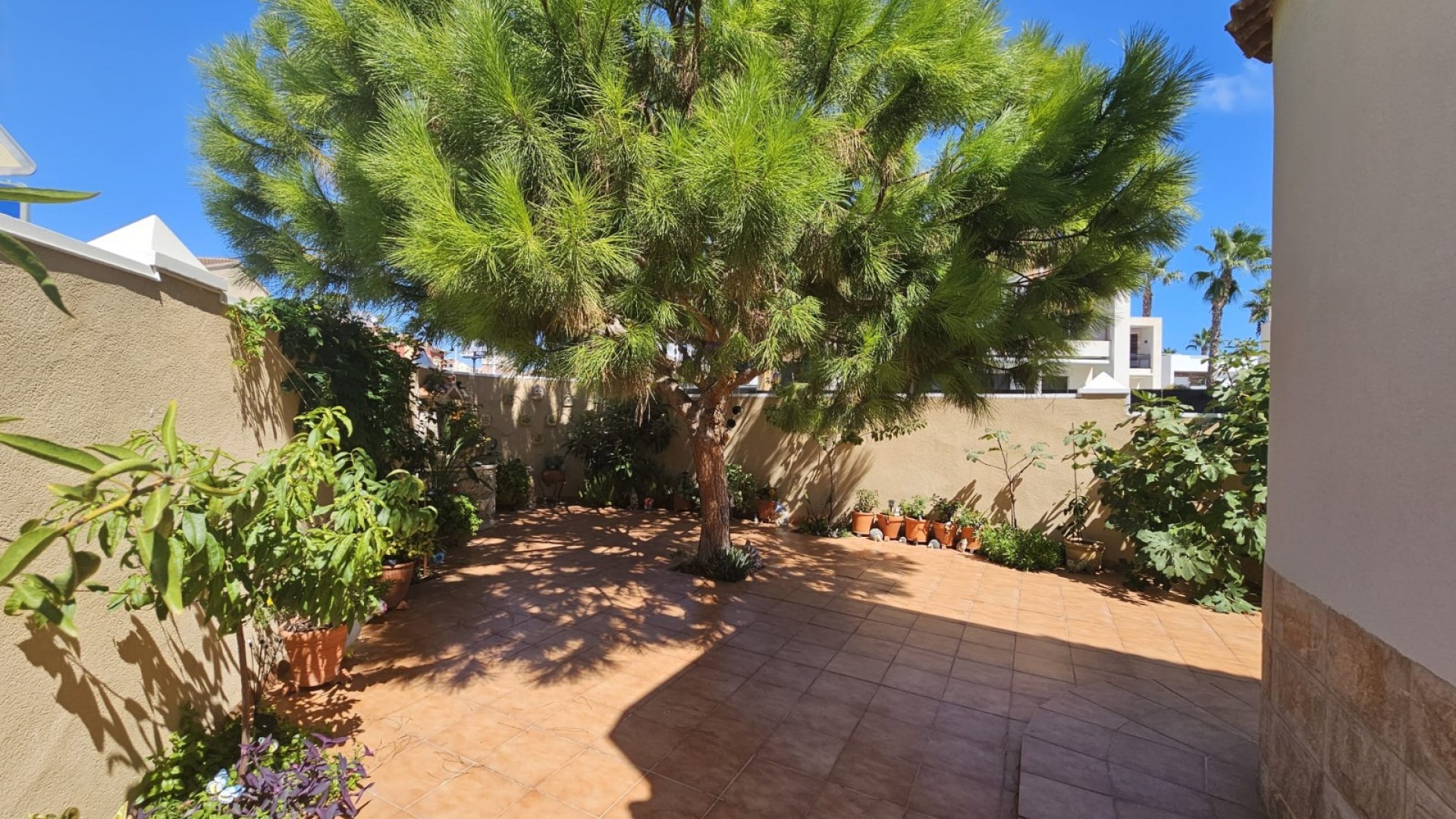 Sprzedaż - Villa -
Torrevieja - Torre la mata