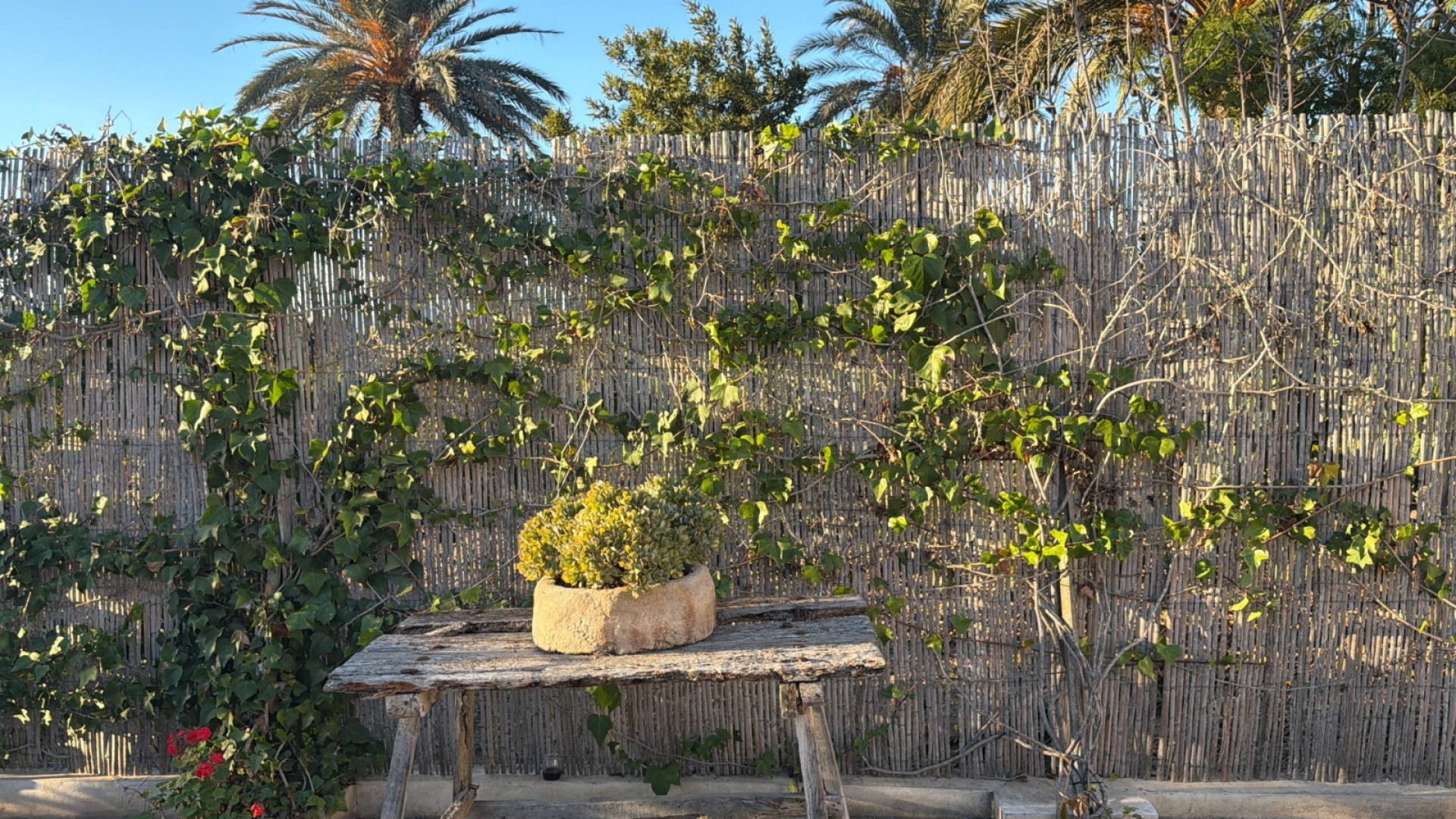 Sprzedaż - Willa w zabudowie bliźniaczej -
Dolores