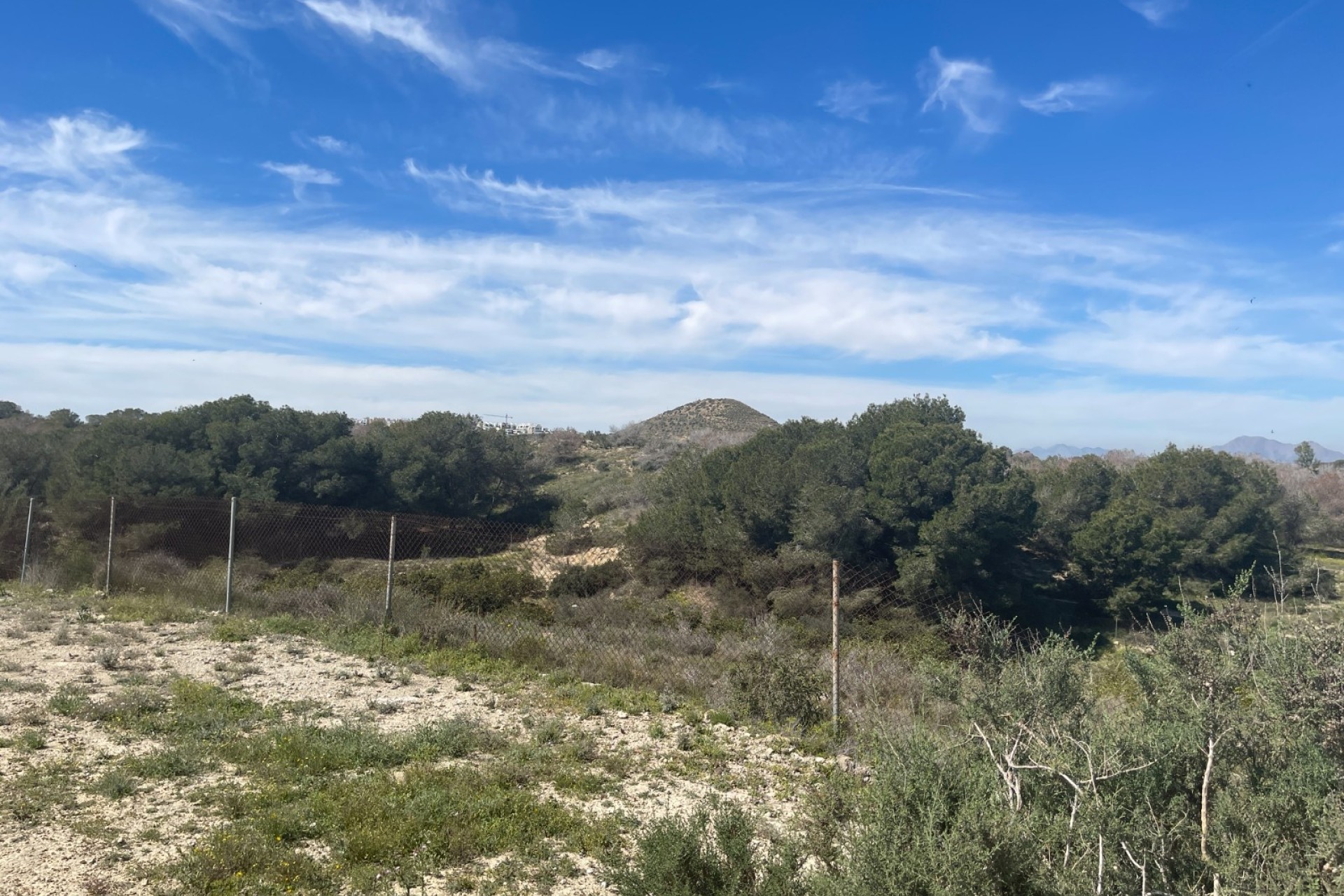 Sprzedaż - Willa w zabudowie bliźniaczej -
Guardamar del Segura - Valencian Community