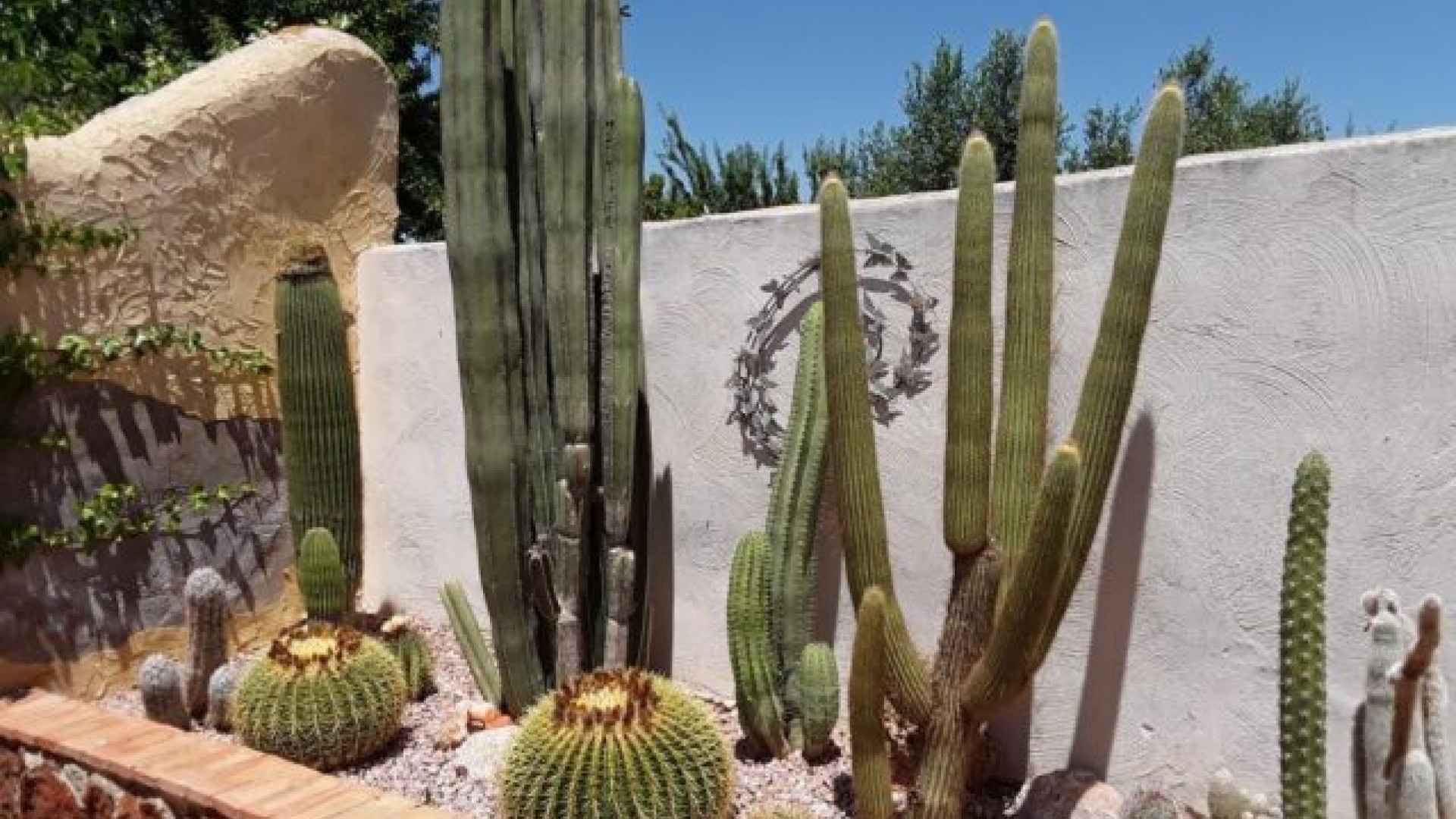 Sprzedaż - Willa wolnostojąca -
Barbarroja