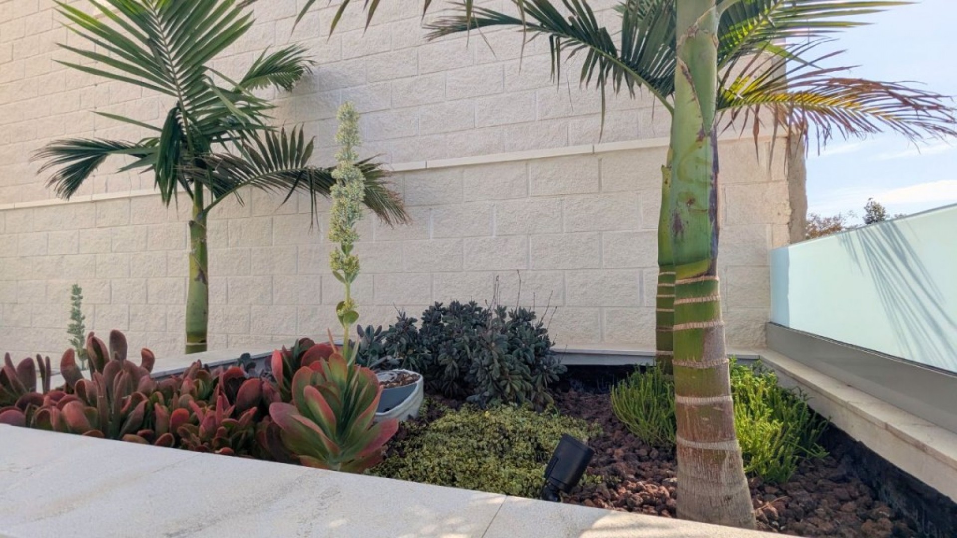 Sprzedaż - Willa wolnostojąca -
Benijofar