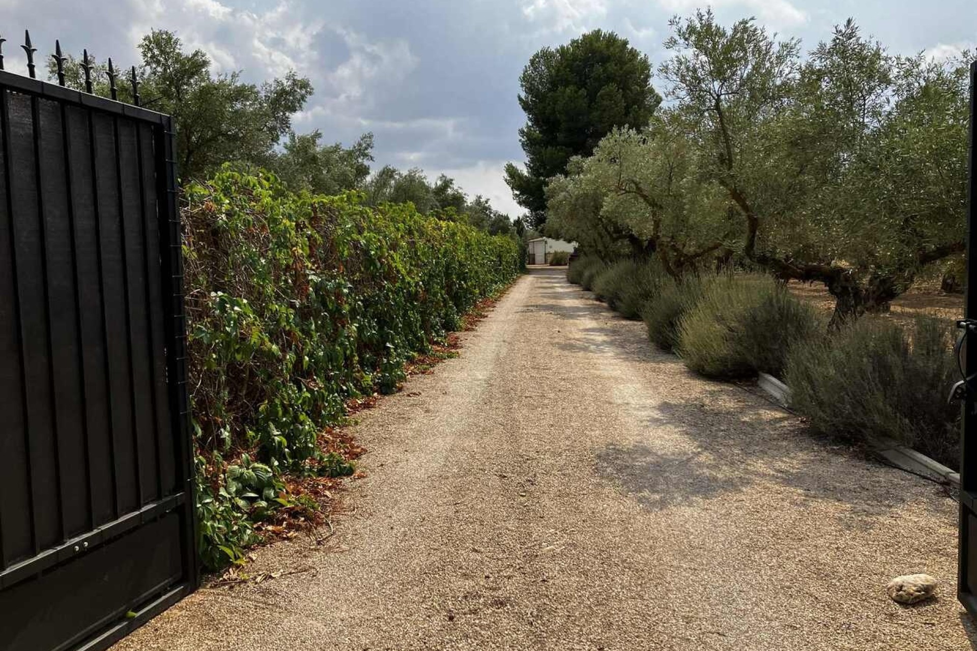 Sprzedaż - Willa wolnostojąca -
Biar - Costa Blanca