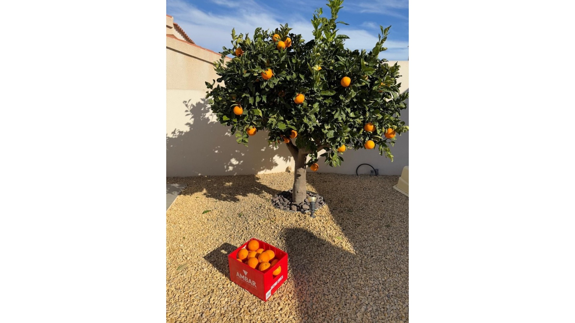 Sprzedaż - Willa wolnostojąca -
Ciudad Quesada - Rojales - Ciudad Quesada