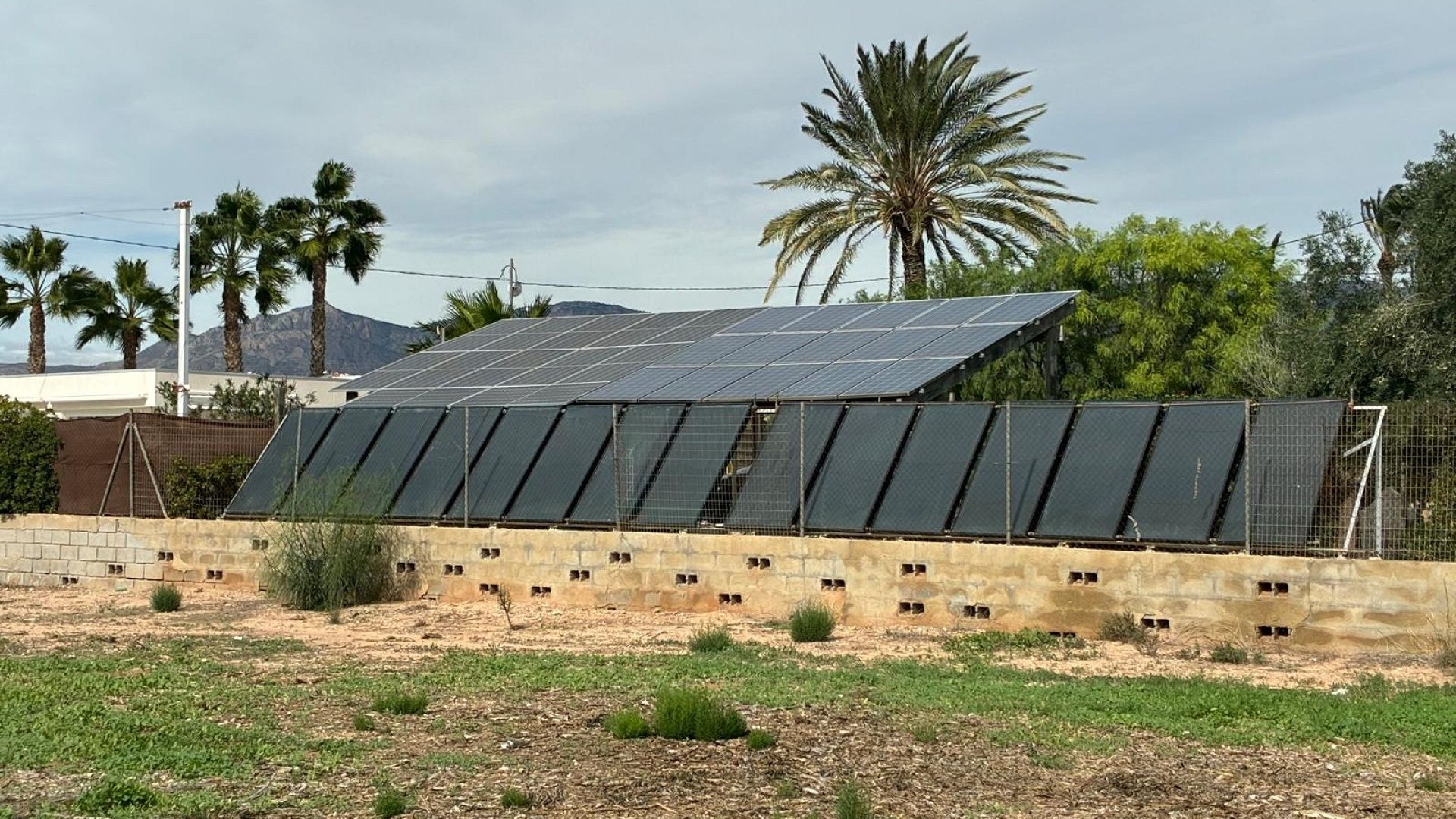 Sprzedaż - Willa wolnostojąca -
Crevillente