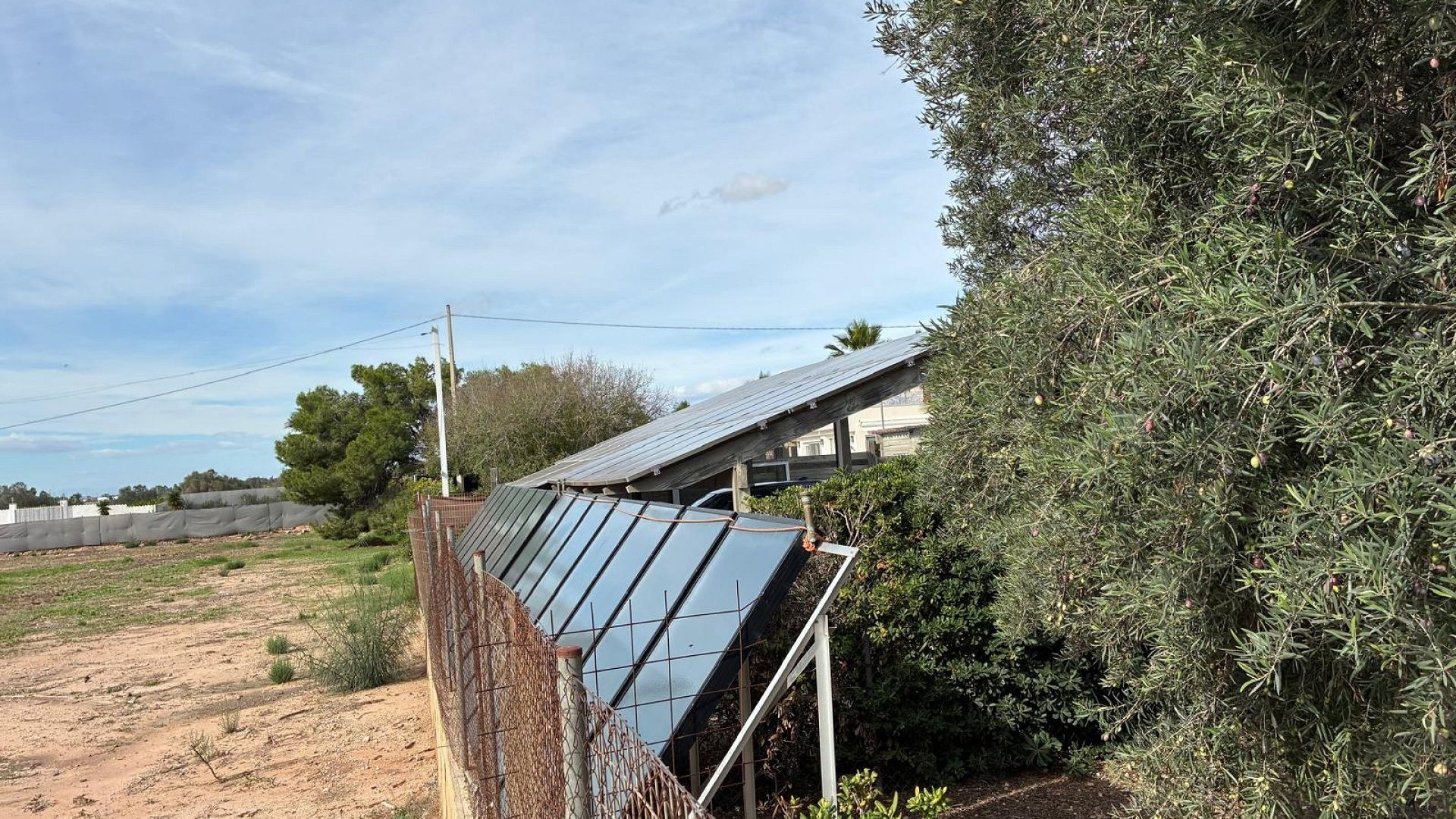 Sprzedaż - Willa wolnostojąca -
Crevillente