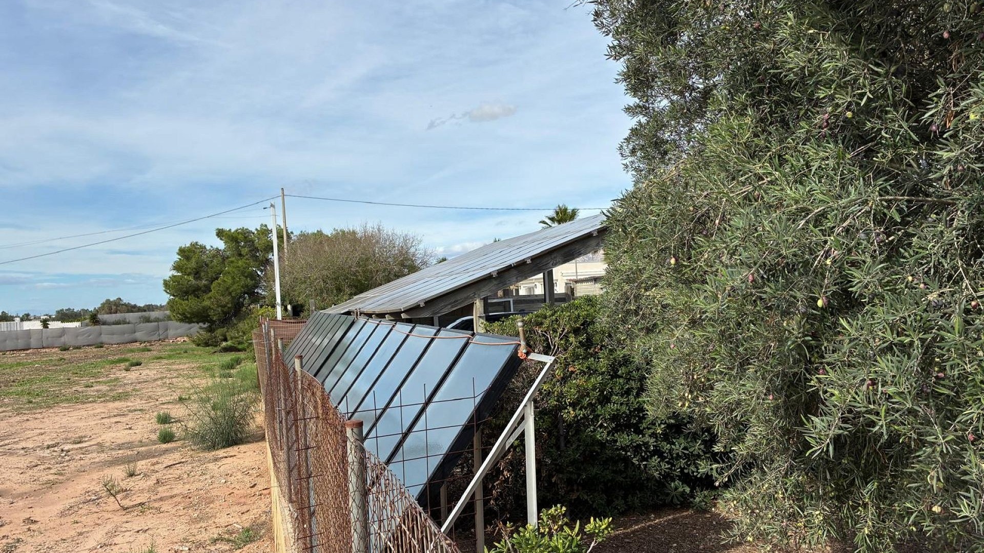 Sprzedaż - Willa wolnostojąca -
Crevillente