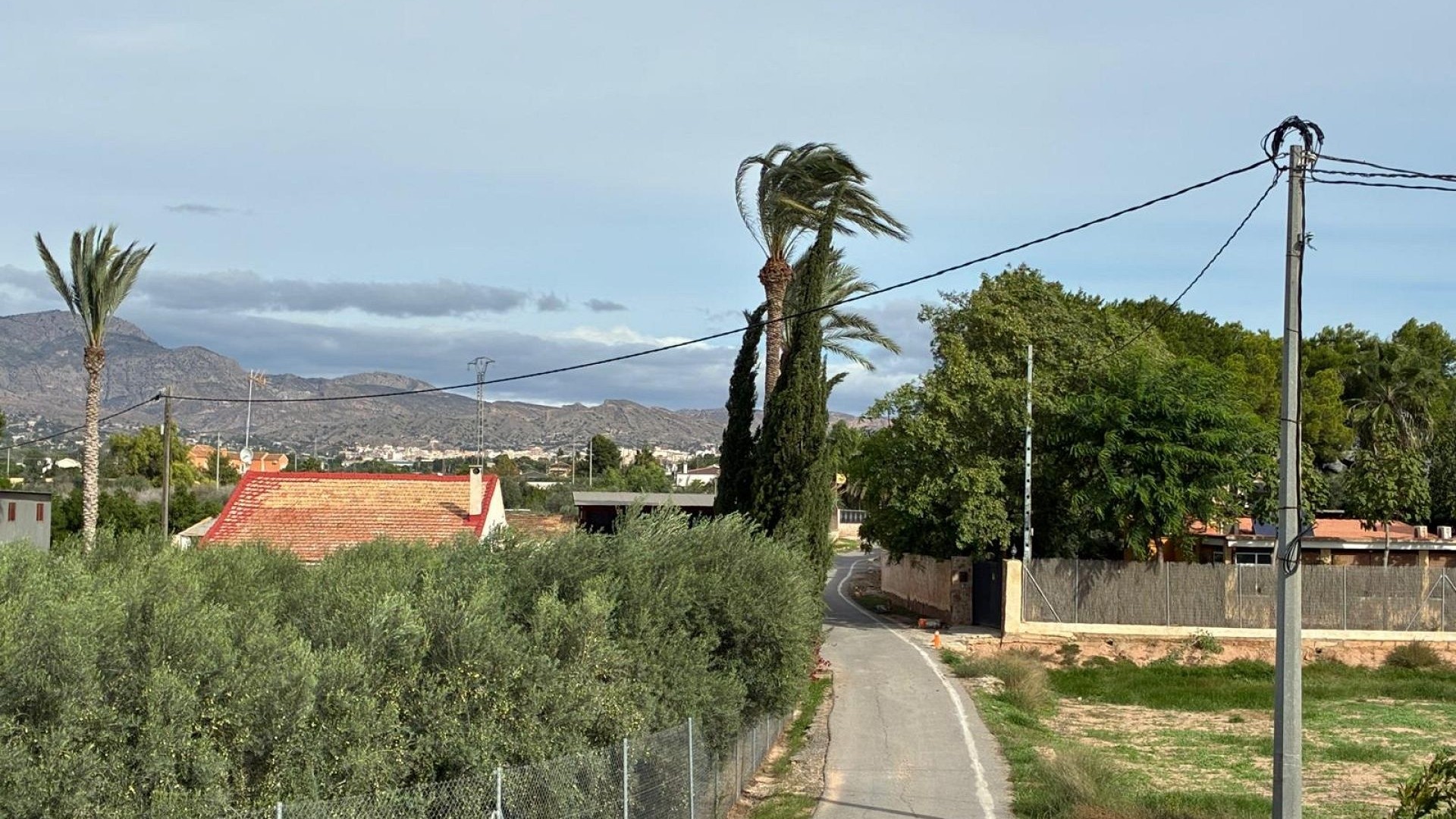 Sprzedaż - Willa wolnostojąca -
Crevillente