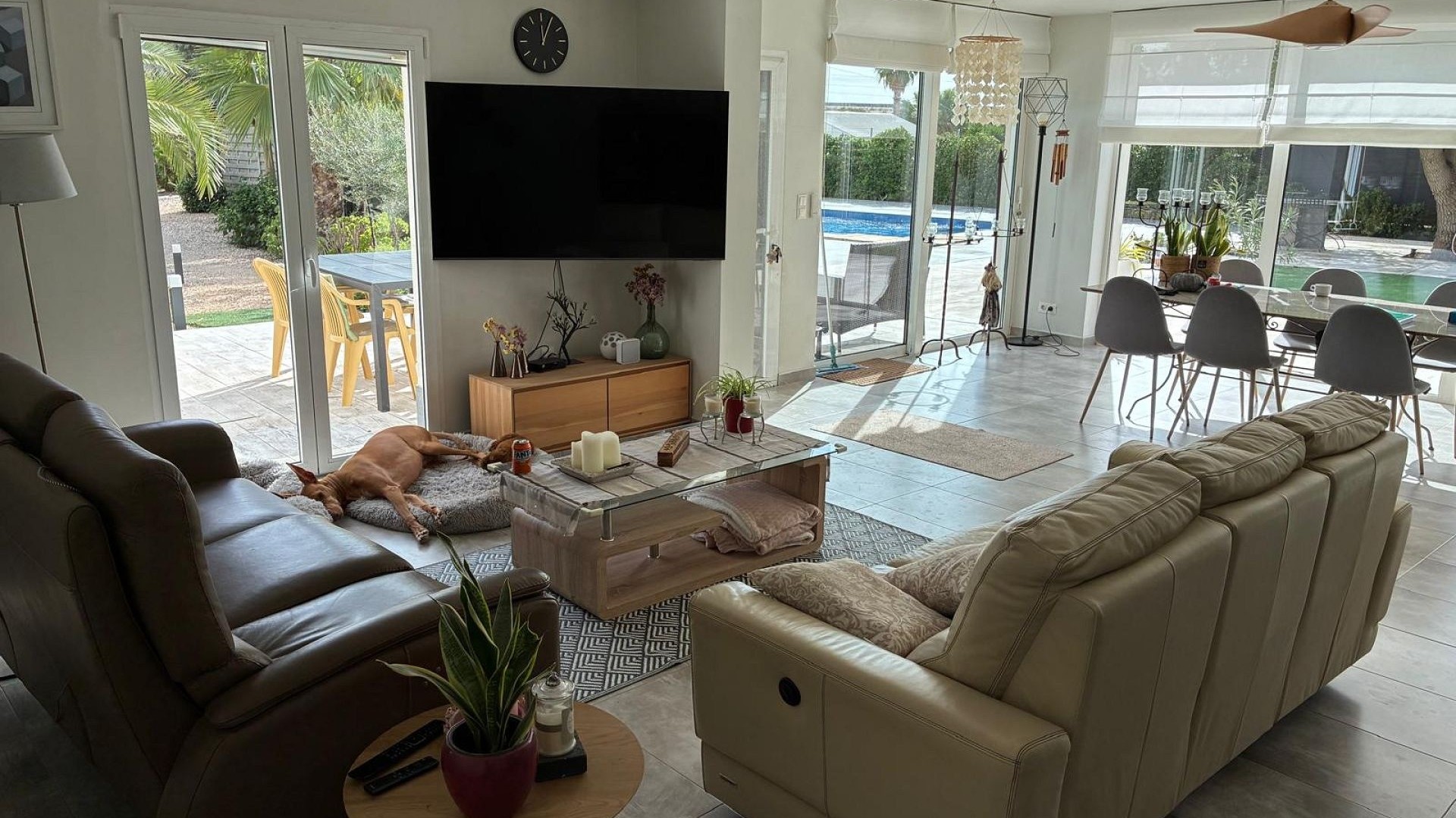 Sprzedaż - Willa wolnostojąca -
Crevillente